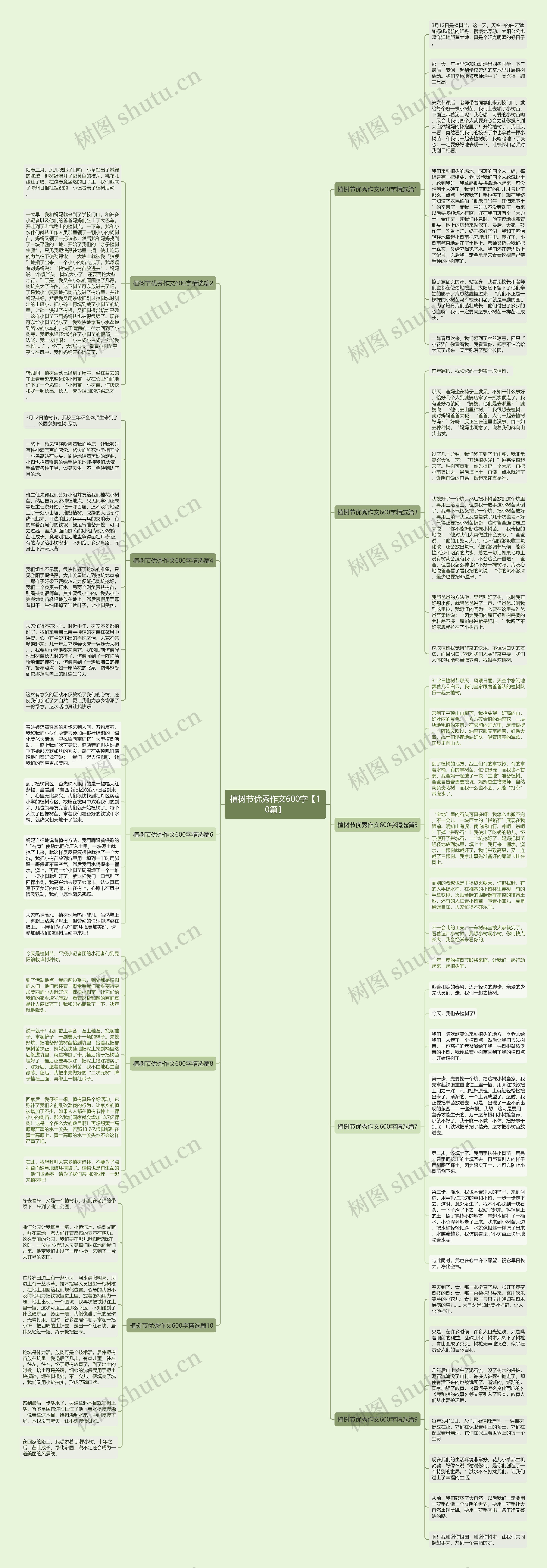 植树节优秀作文600字【10篇】思维导图