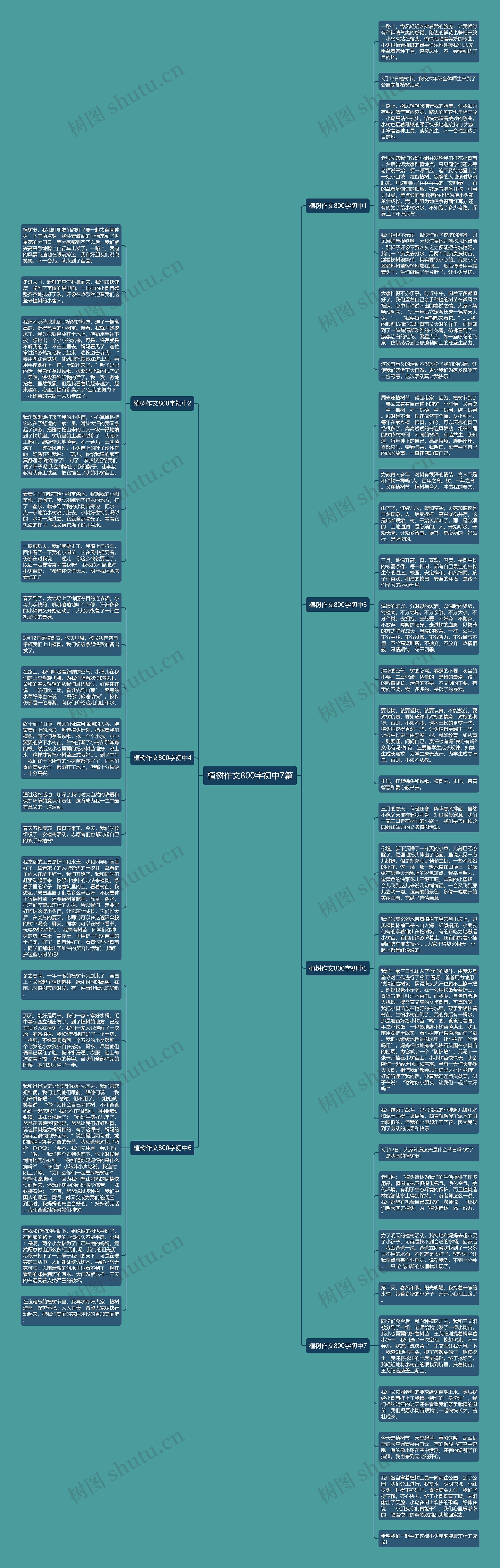植树作文800字初中7篇思维导图