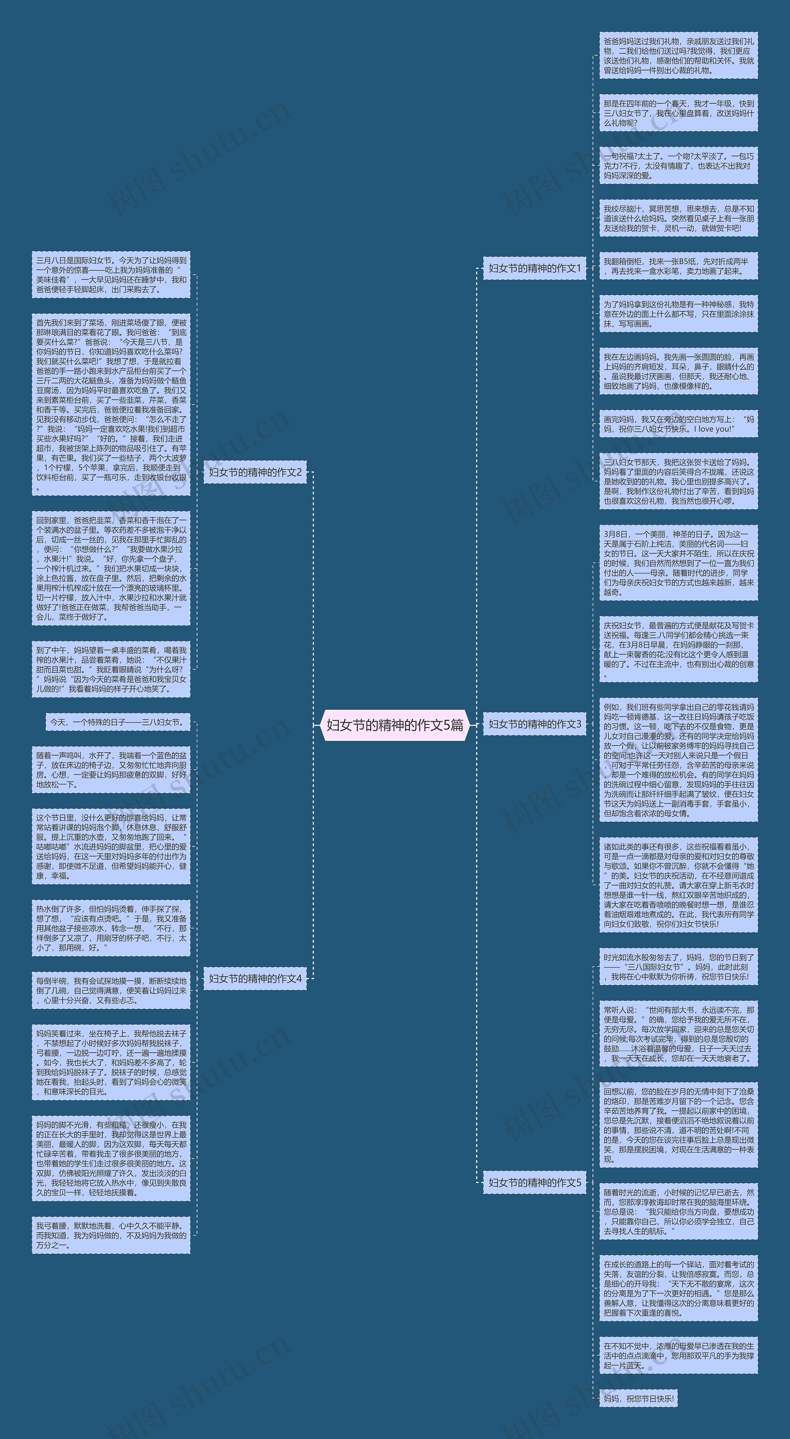 妇女节的精神的作文5篇思维导图