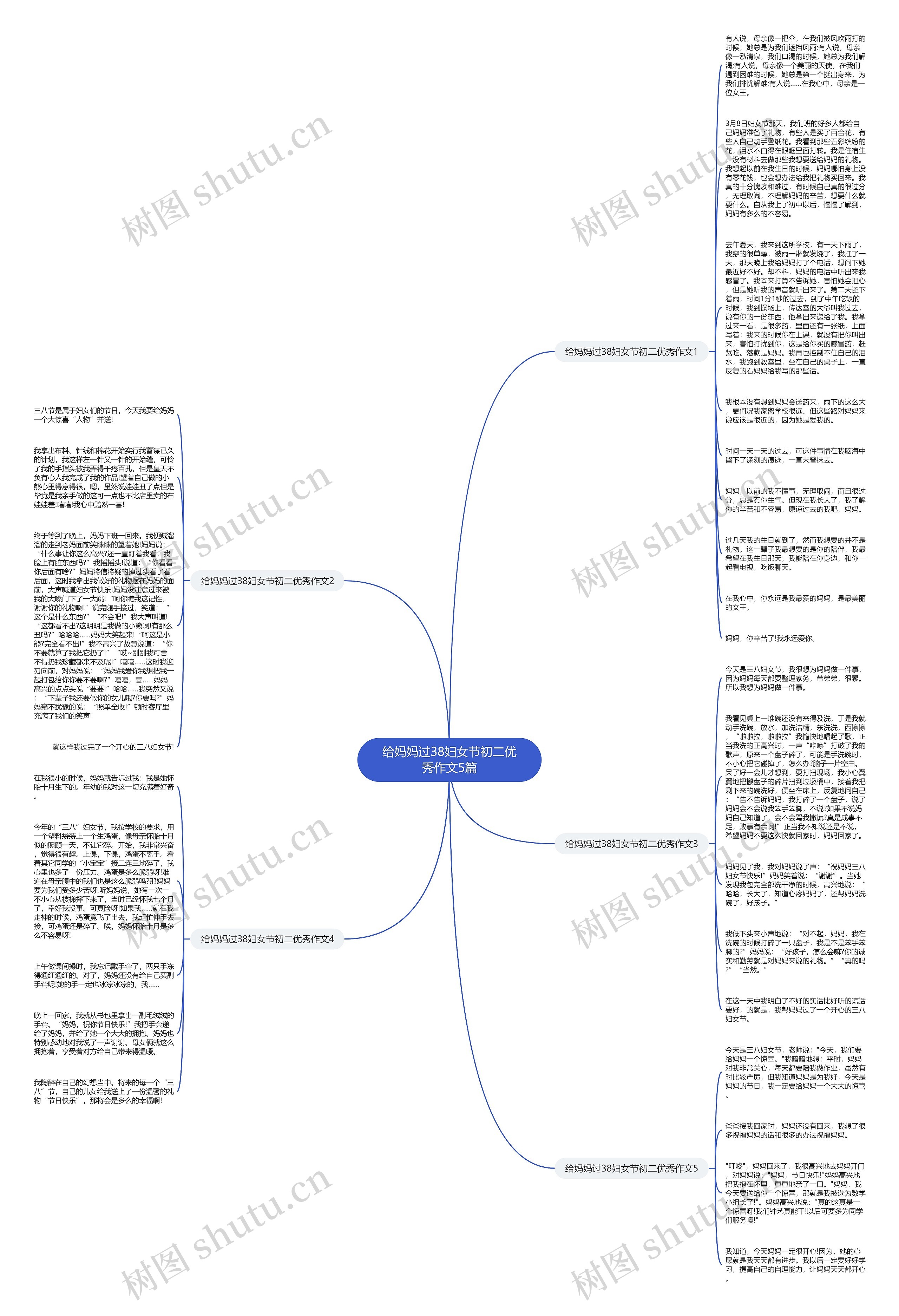 给妈妈过38妇女节初二优秀作文5篇思维导图