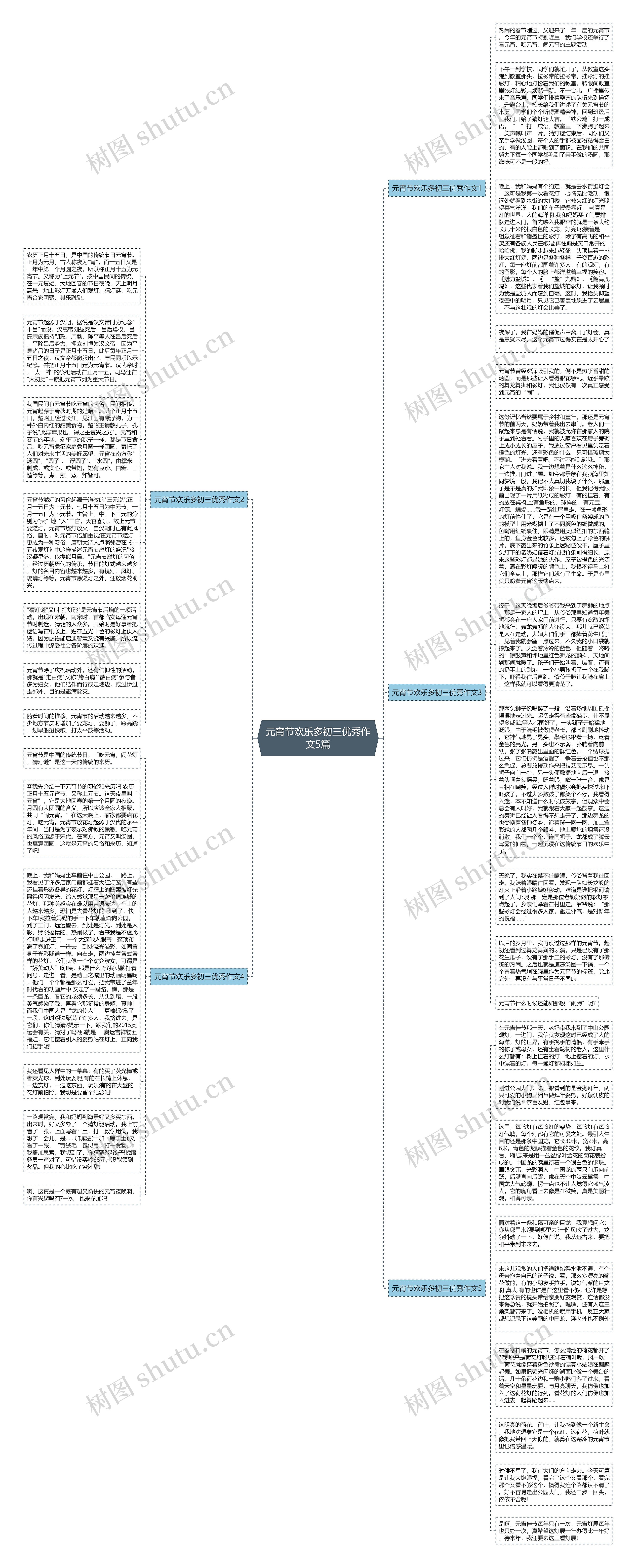 元宵节欢乐多初三优秀作文5篇思维导图