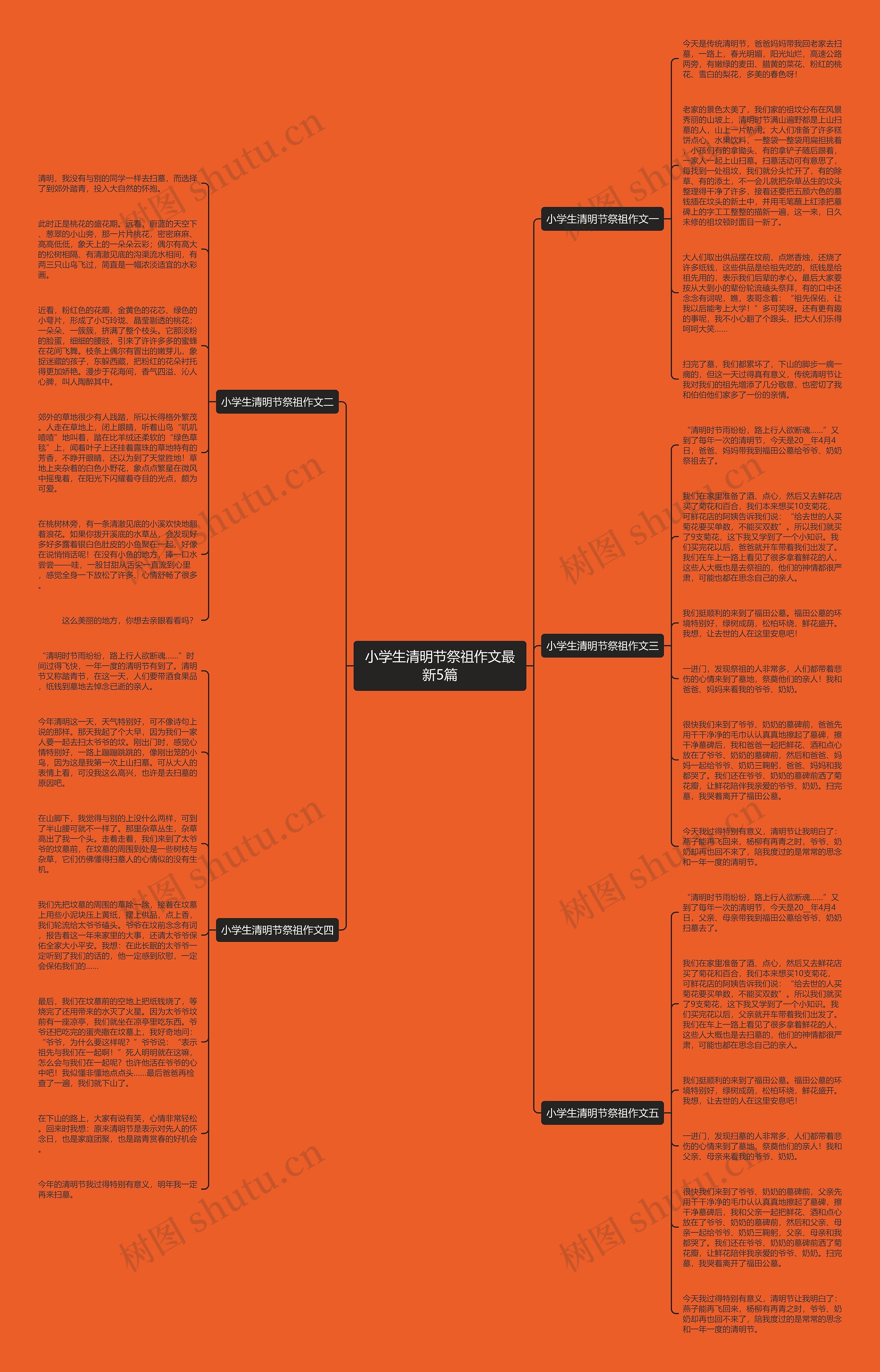 小学生清明节祭祖作文最新5篇思维导图