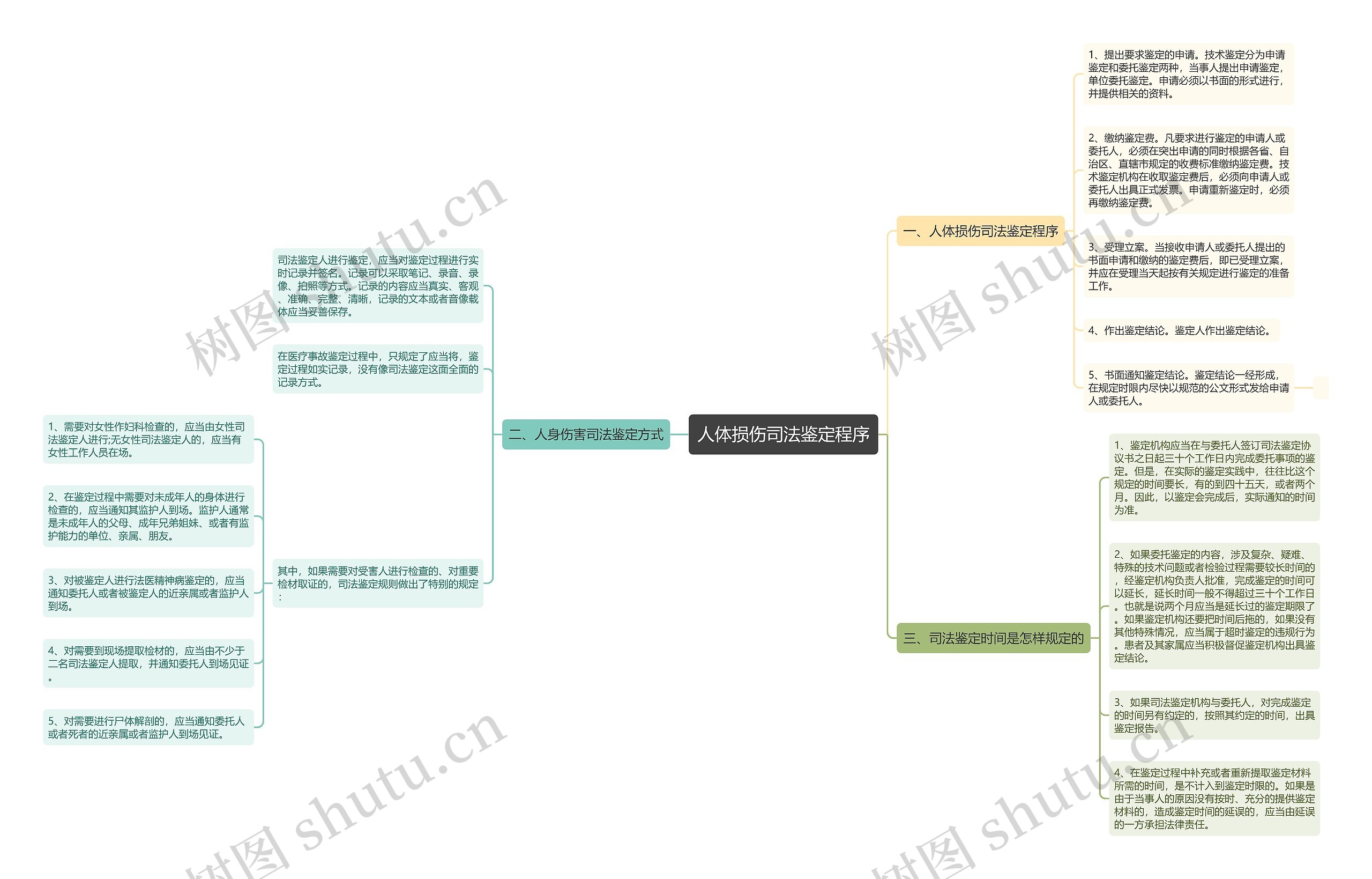 人体损伤司法鉴定程序思维导图