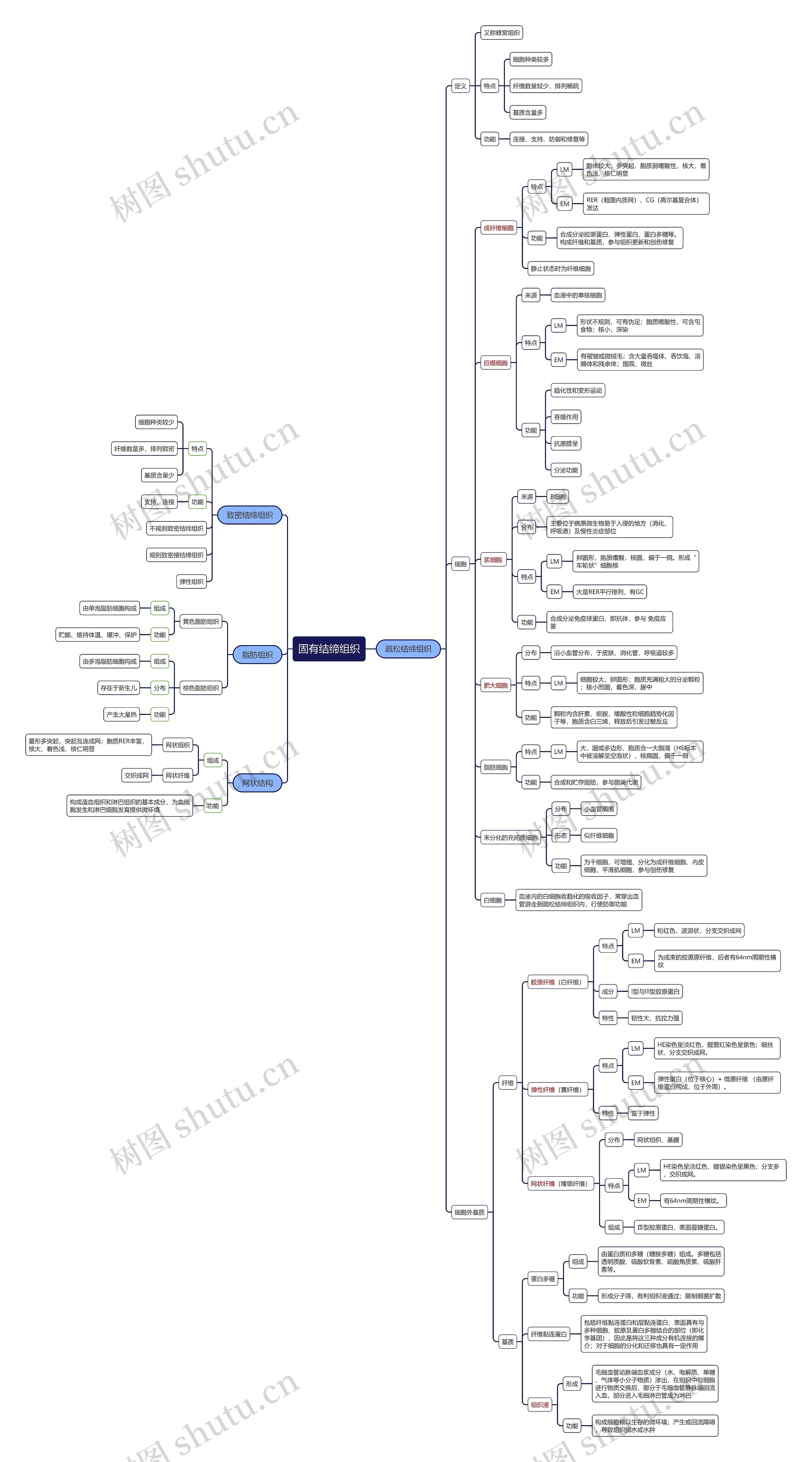固有结缔组织思维导图