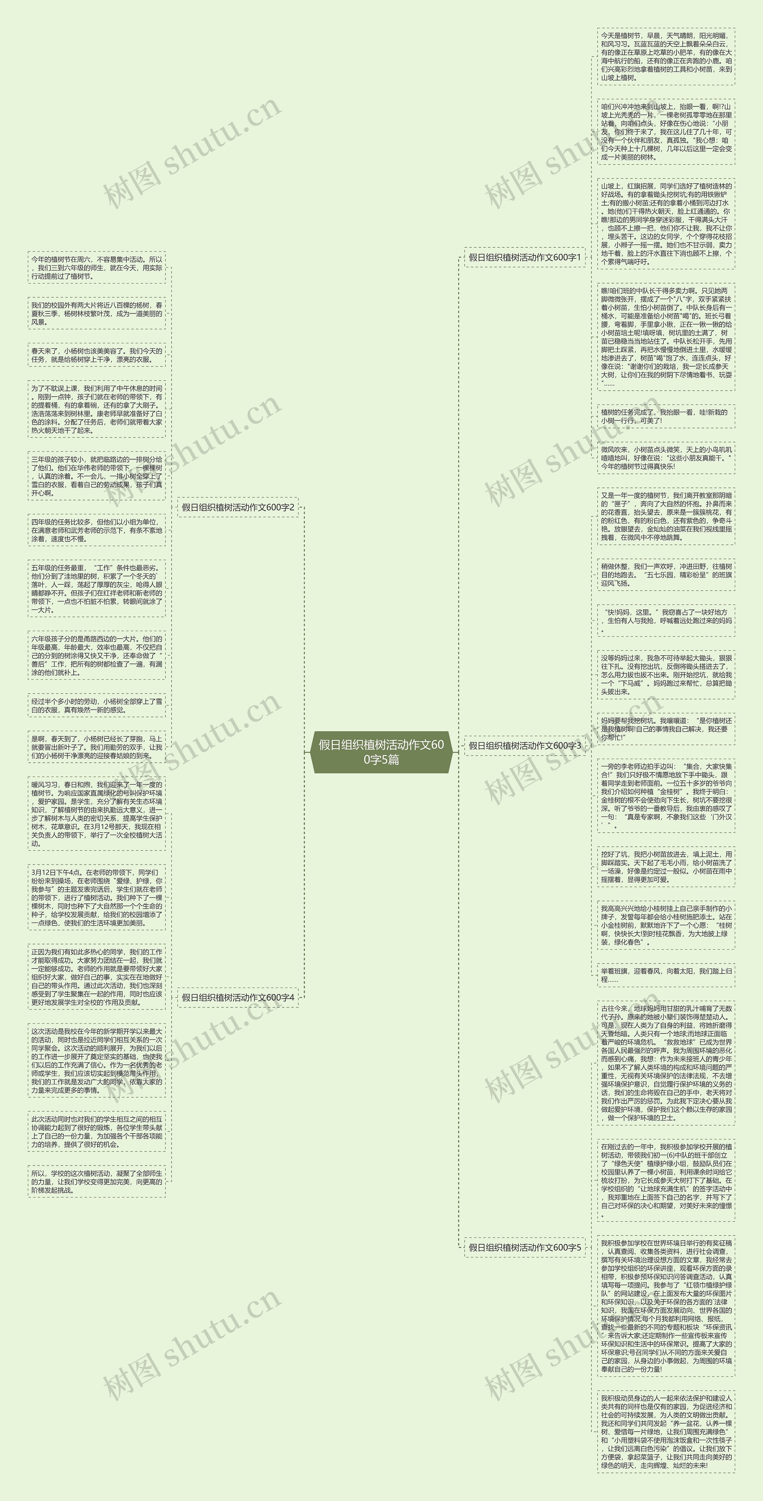 假日组织植树活动作文600字5篇思维导图