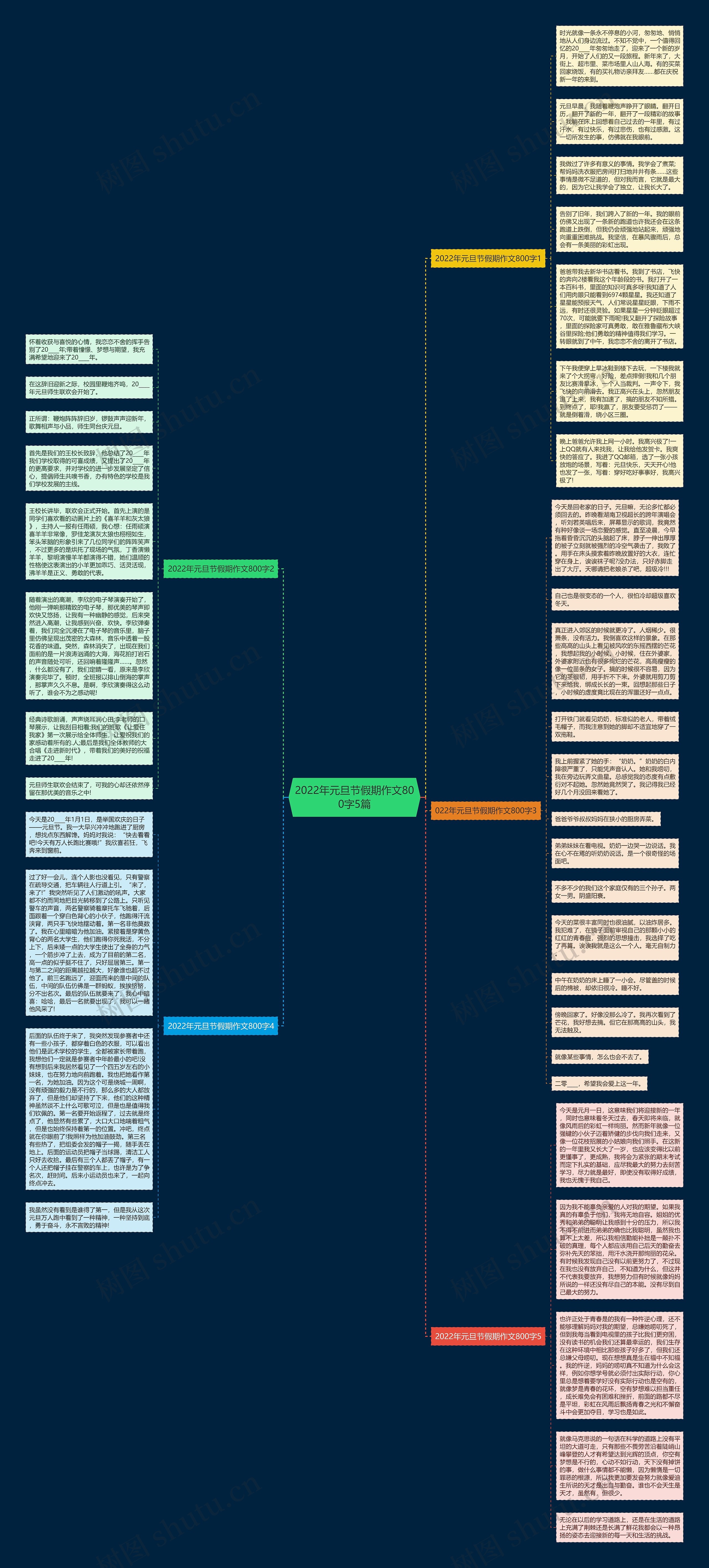 2022年元旦节假期作文800字5篇思维导图