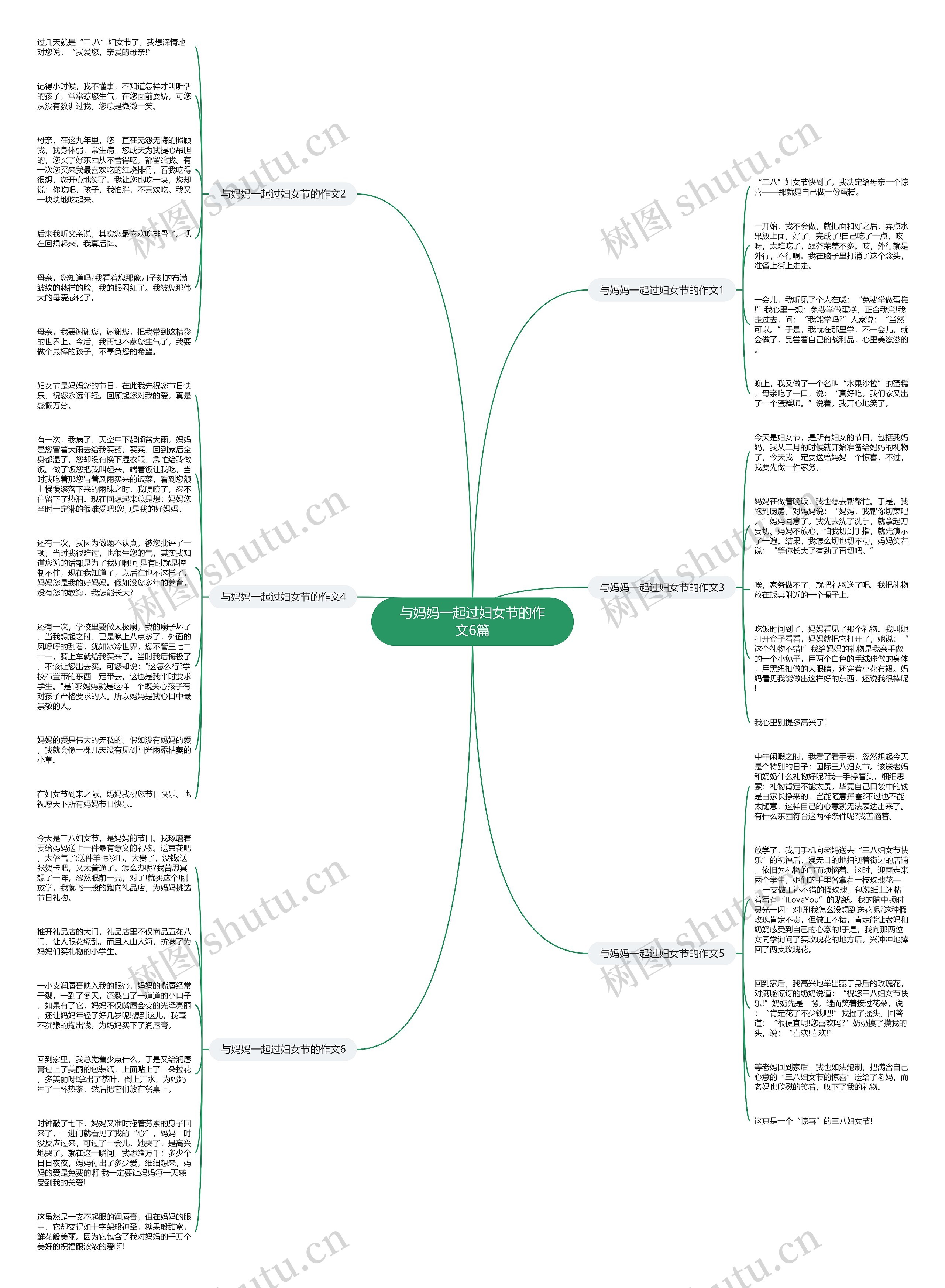 与妈妈一起过妇女节的作文6篇思维导图