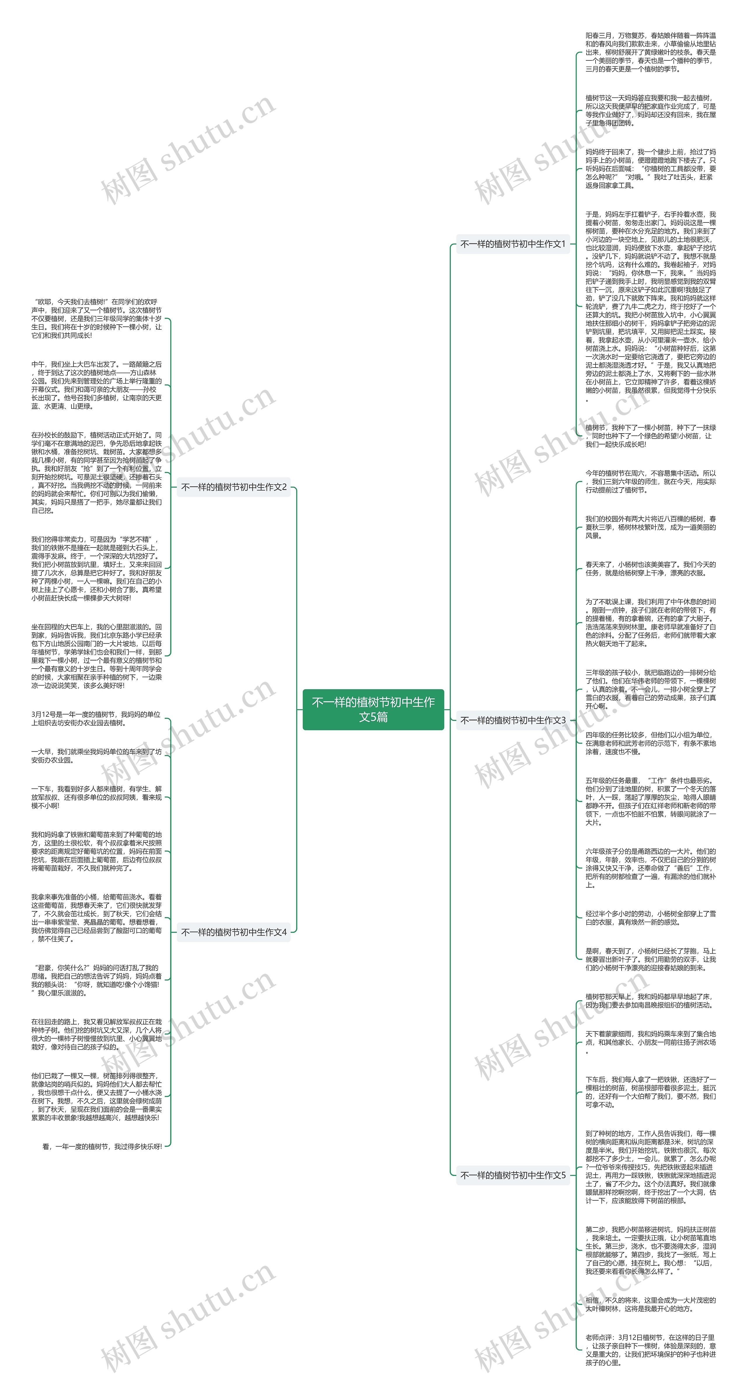 不一样的植树节初中生作文5篇思维导图