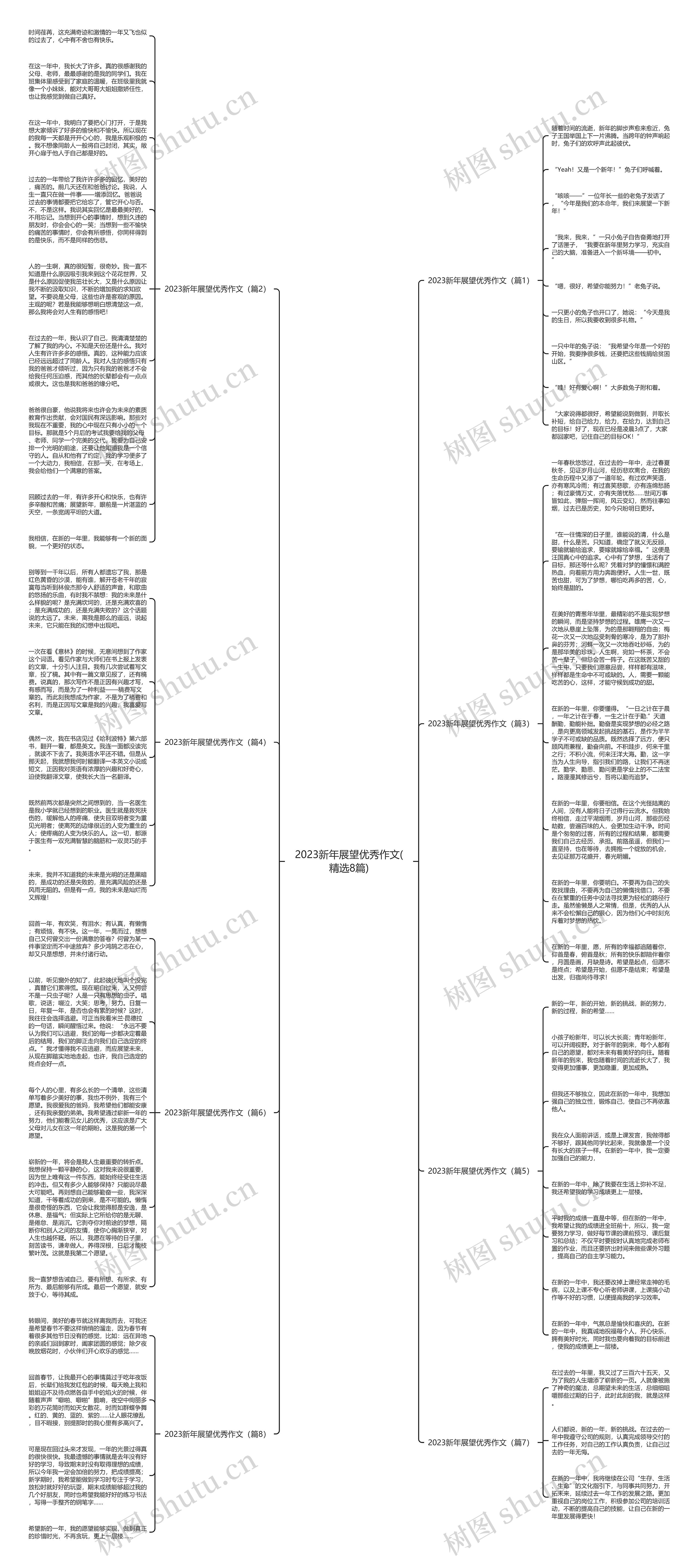 2023新年展望优秀作文(精选8篇)思维导图