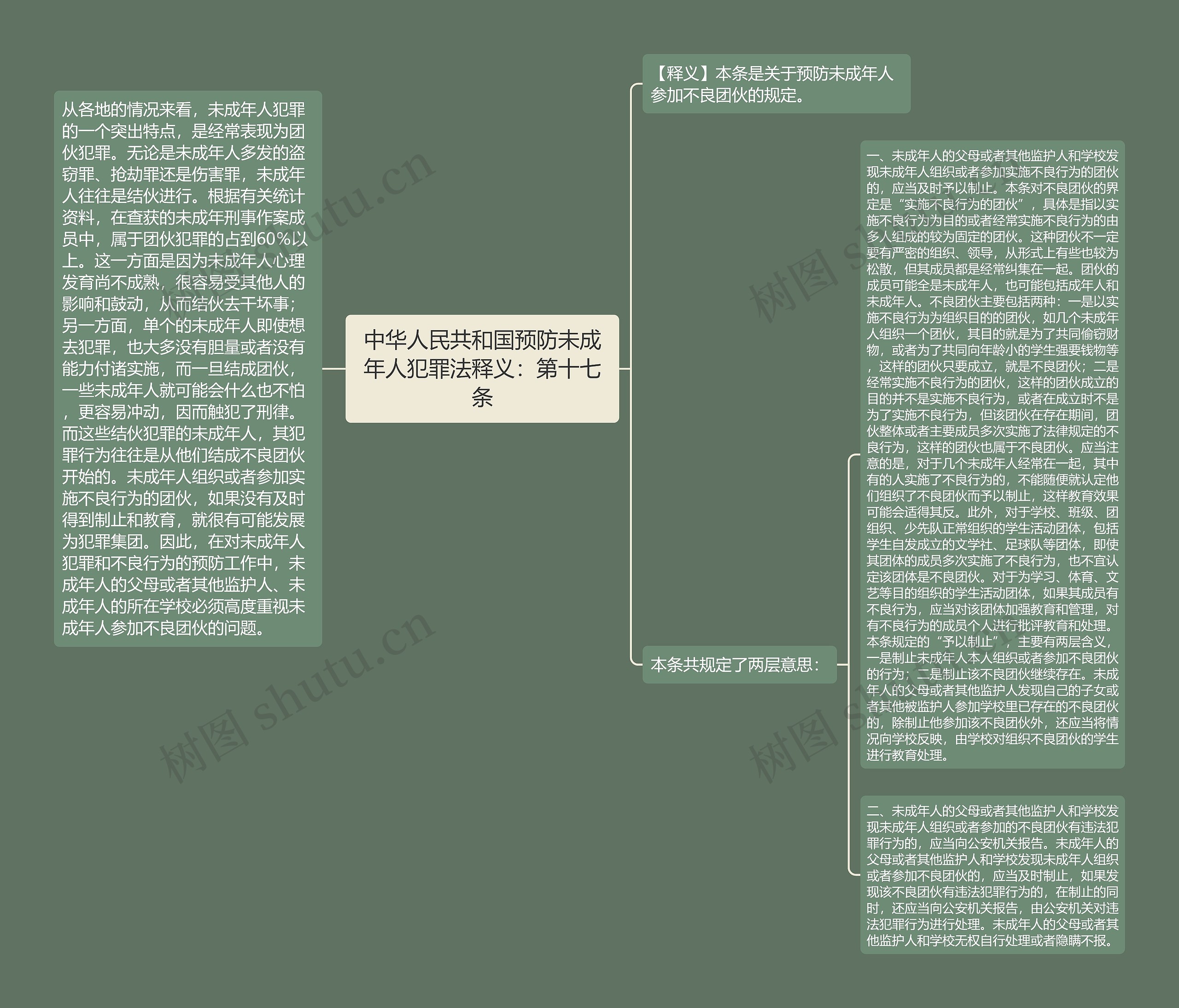 中华人民共和国预防未成年人犯罪法释义：第十七条