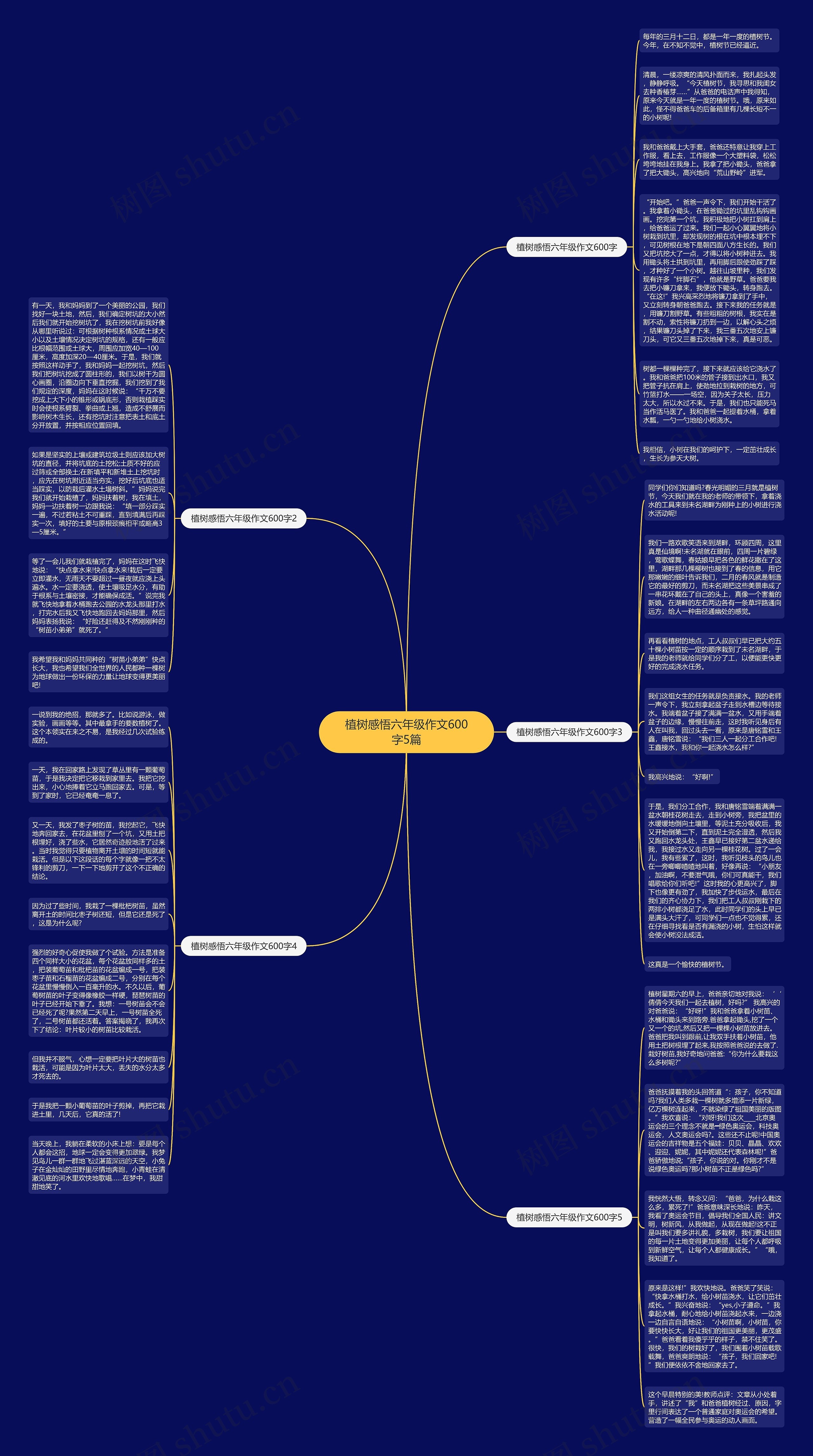 植树感悟六年级作文600字5篇思维导图