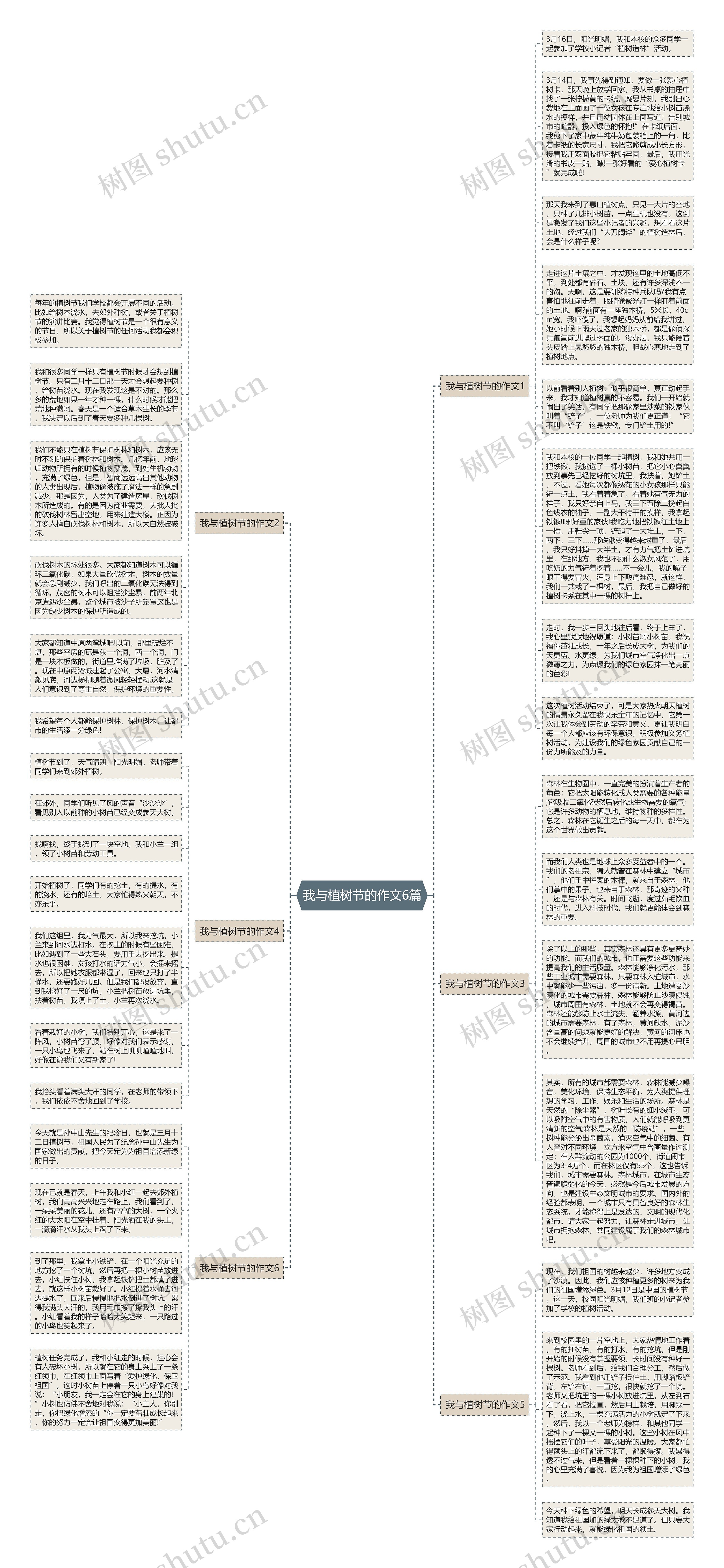 我与植树节的作文6篇思维导图