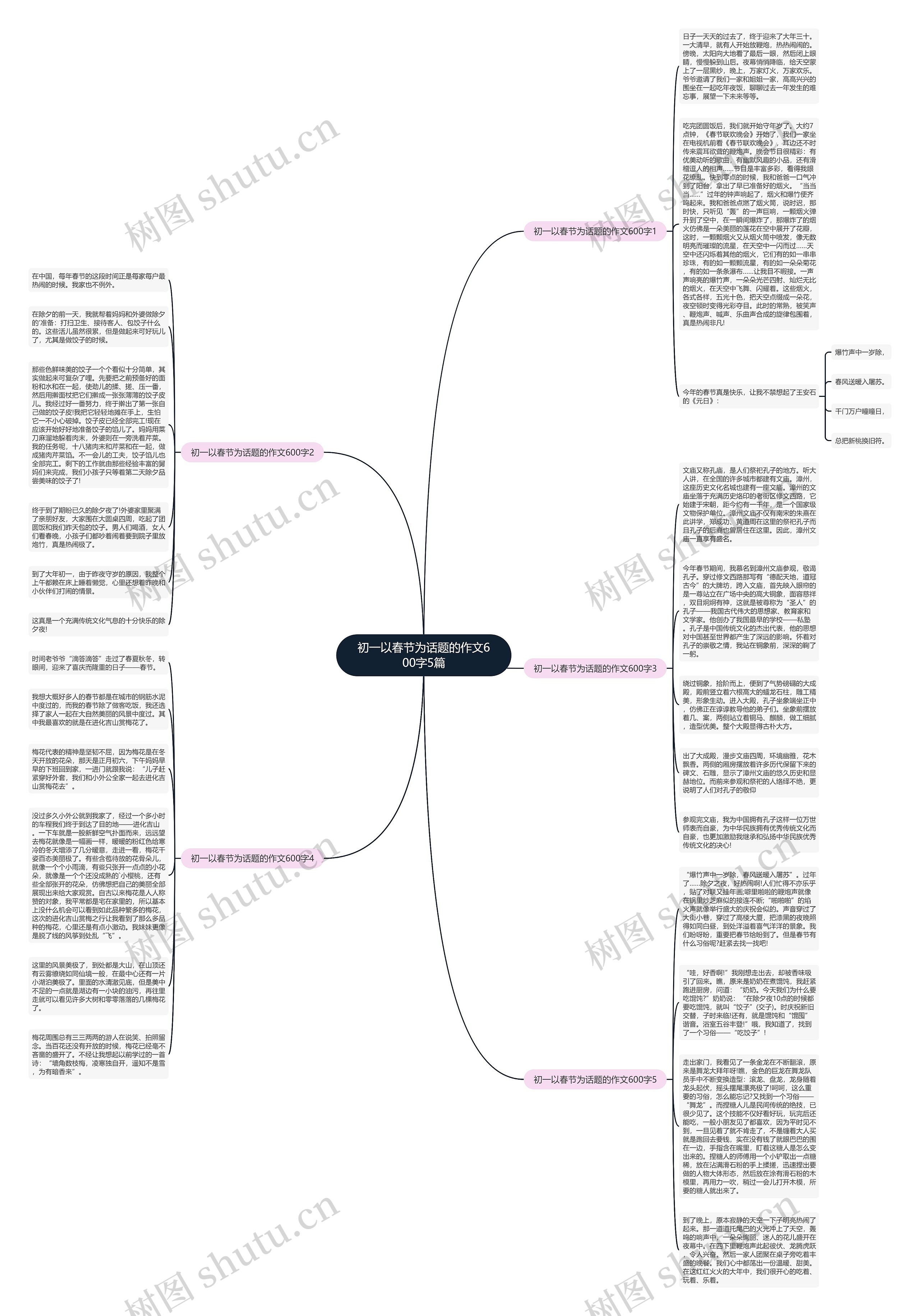 初一以春节为话题的作文600字5篇思维导图
