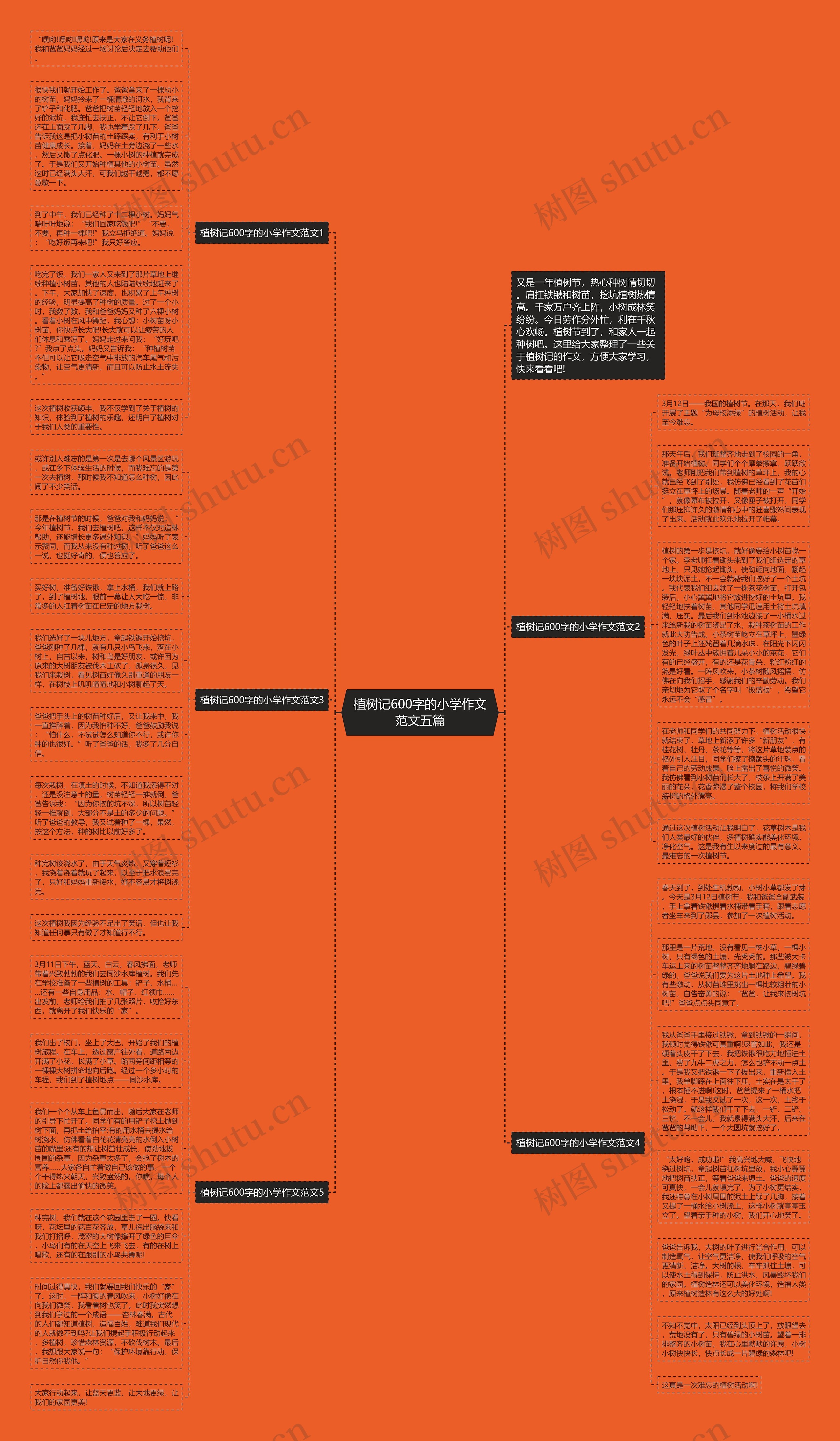 植树记600字的小学作文范文五篇思维导图