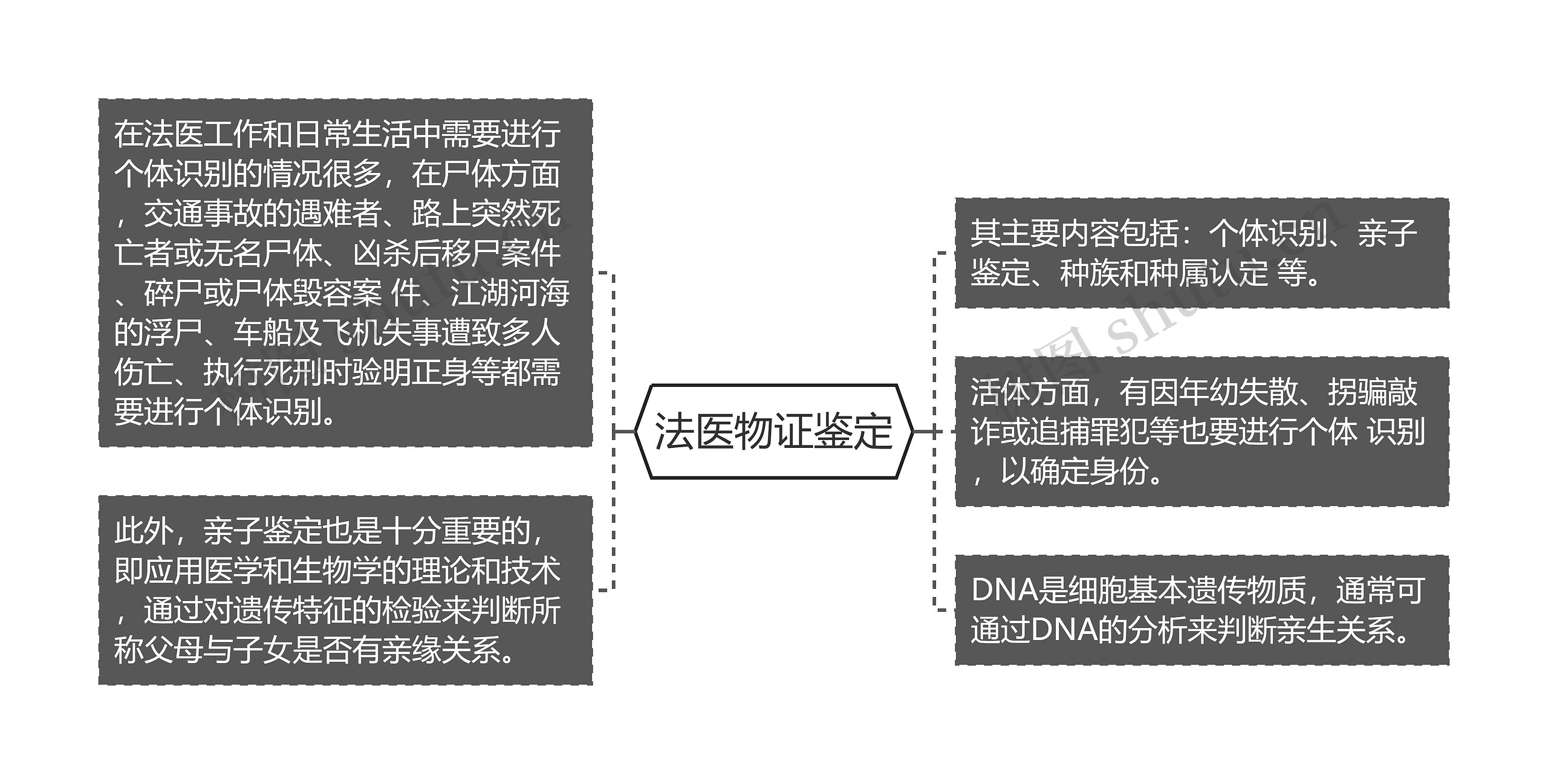 法医物证鉴定思维导图