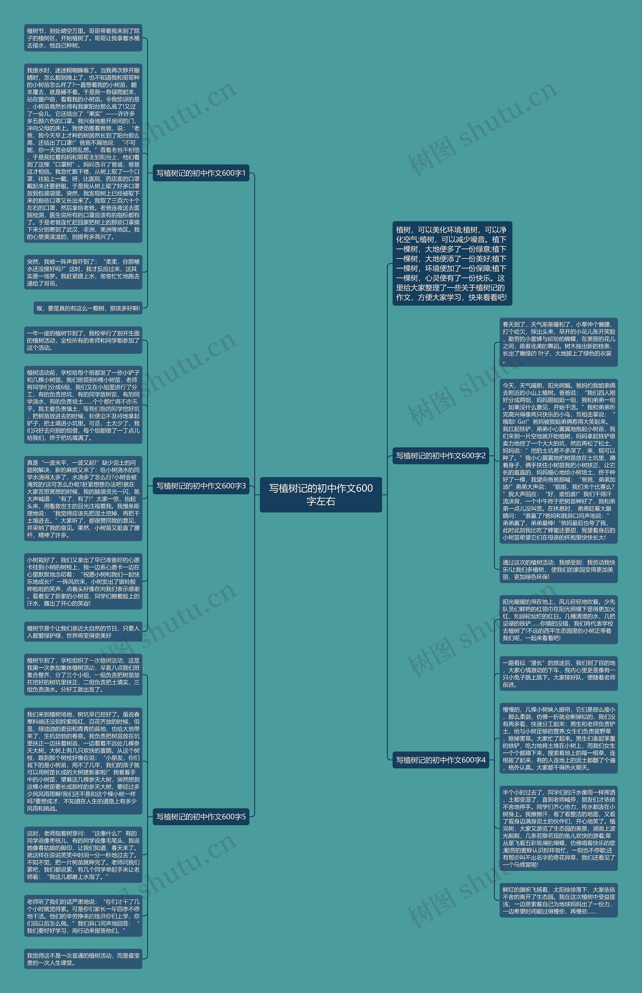 写植树记的初中作文600字左右思维导图