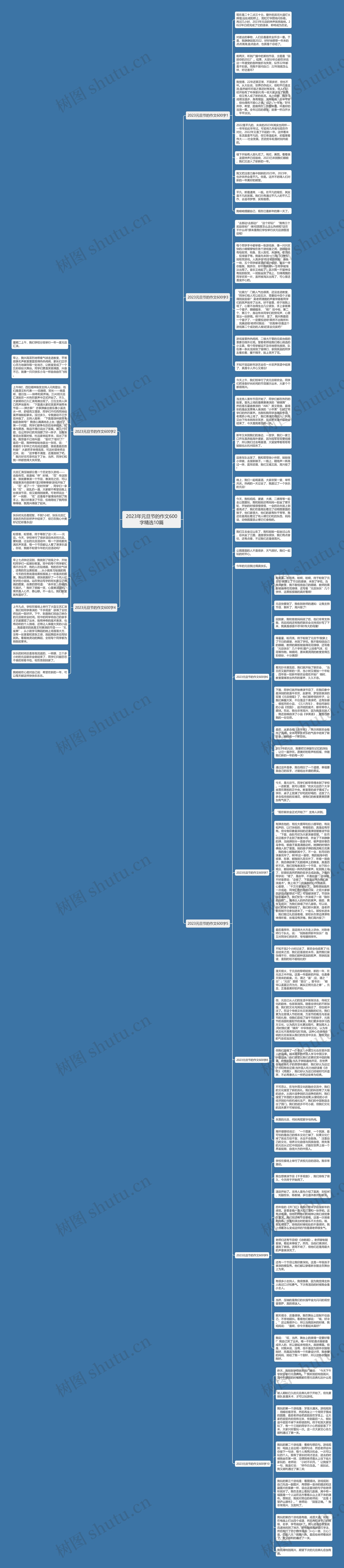 2023年元旦节的作文600字精选10篇思维导图