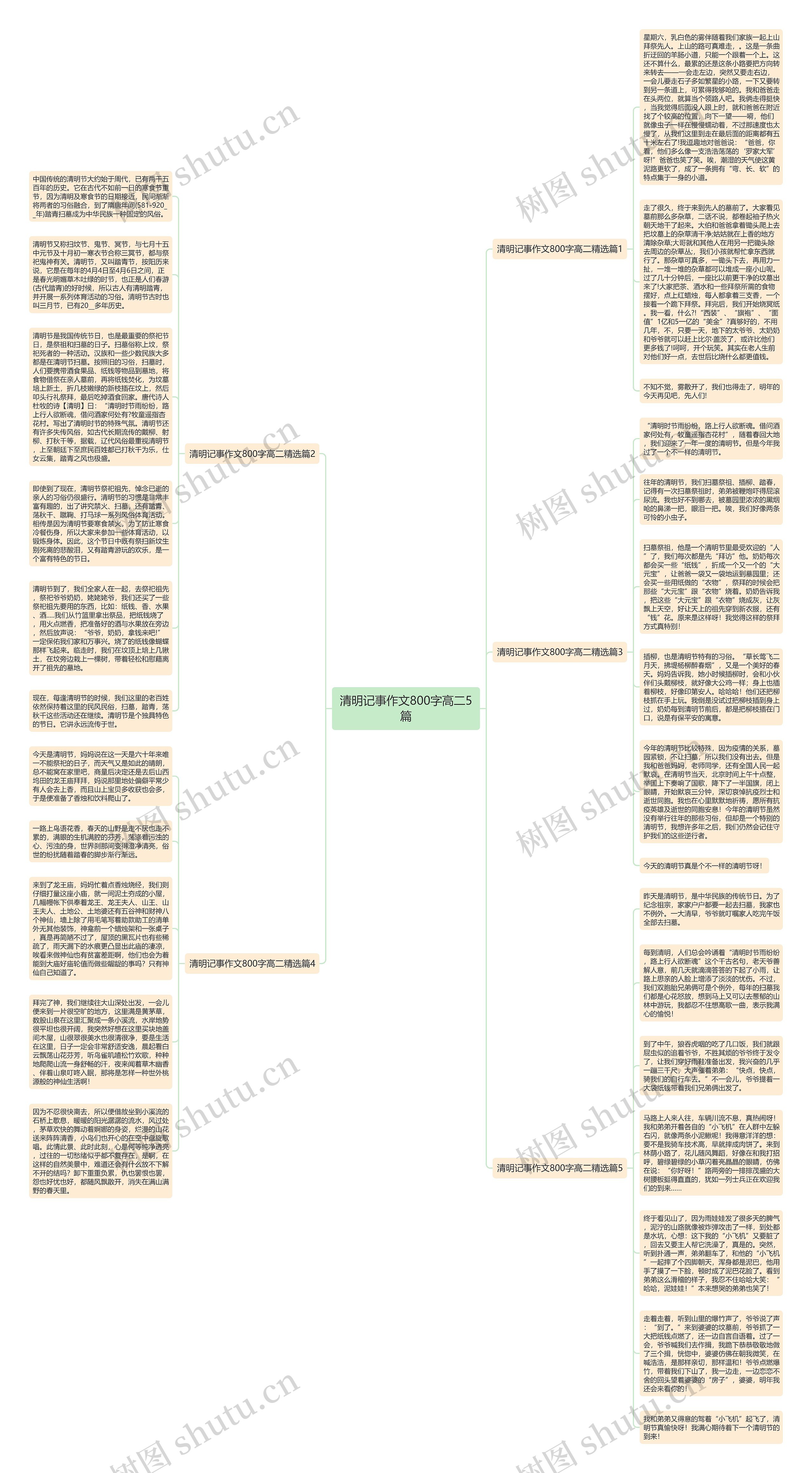 清明记事作文800字高二5篇思维导图