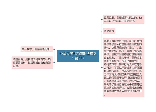 中华人民共和国刑法释义：第257