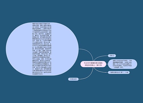 机动车交通事故责任强制保险条例释义：第43条