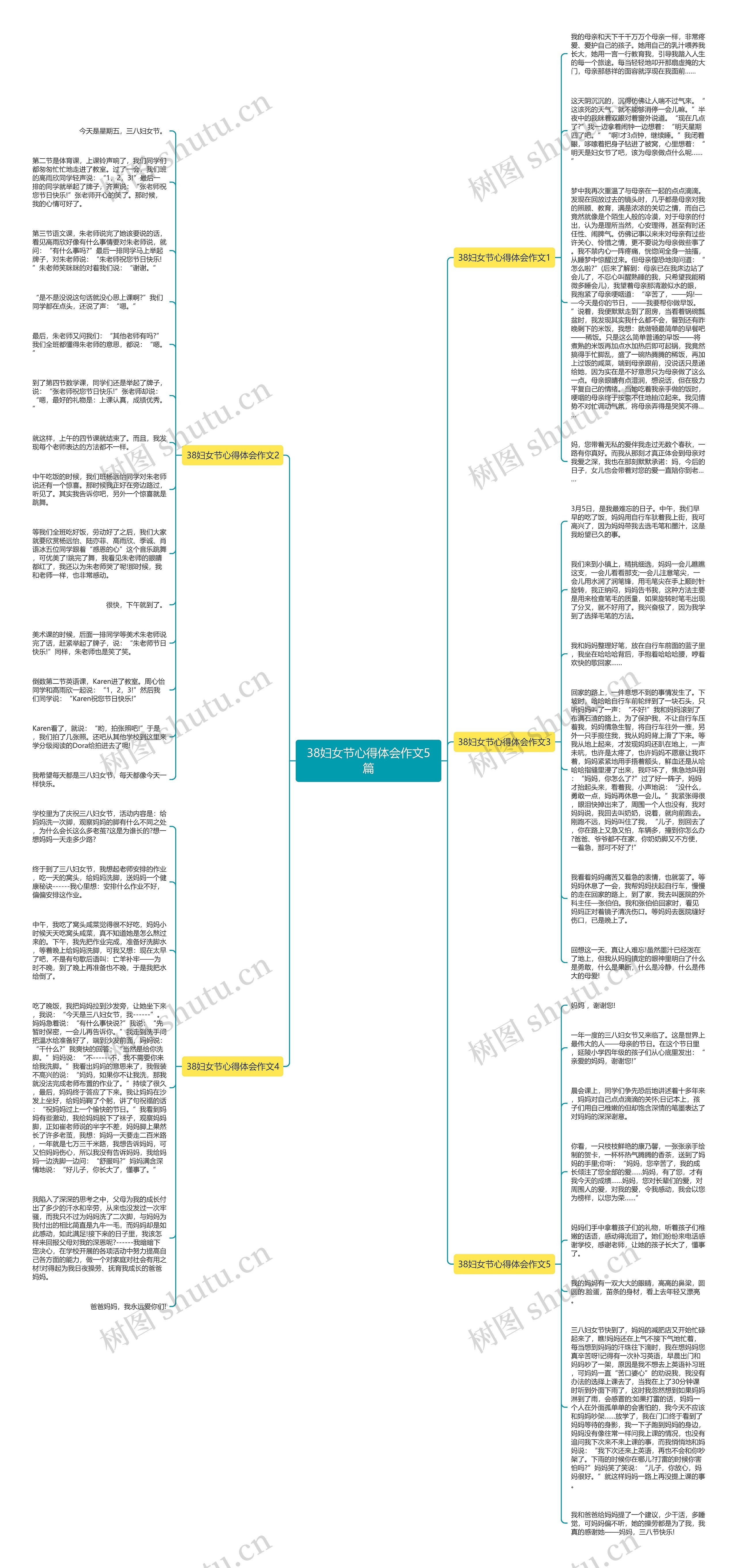 38妇女节心得体会作文5篇思维导图