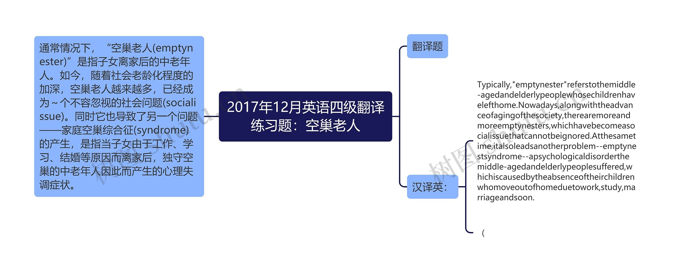 2017年12月英语四级翻译练习题：空巢老人