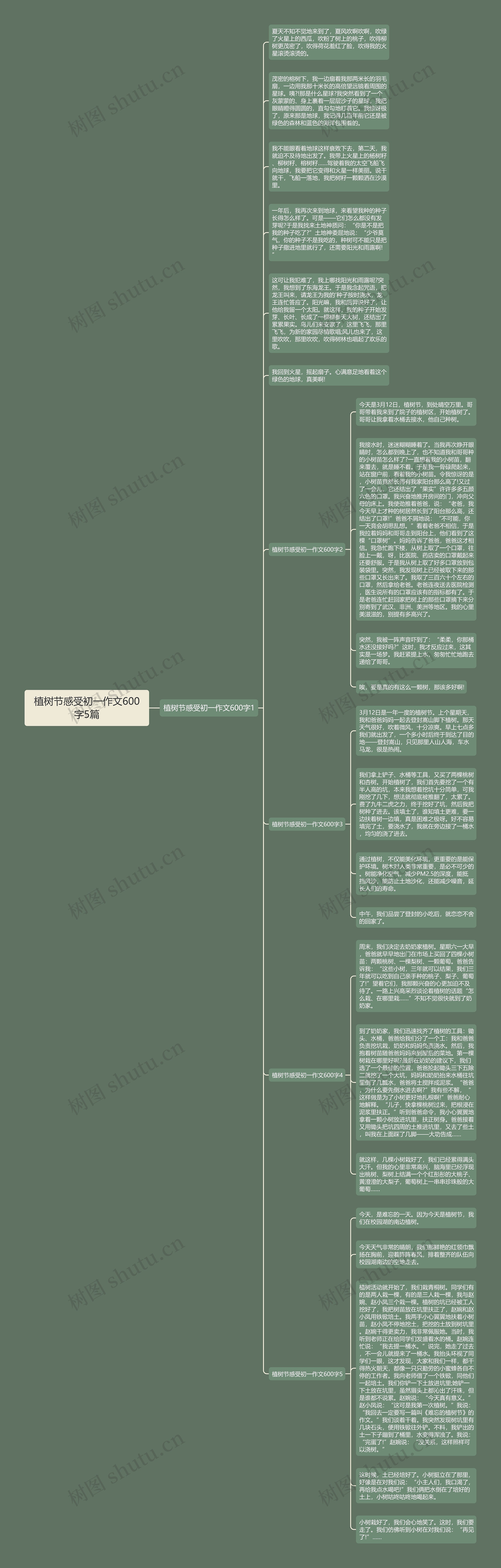 植树节感受初一作文600字5篇思维导图