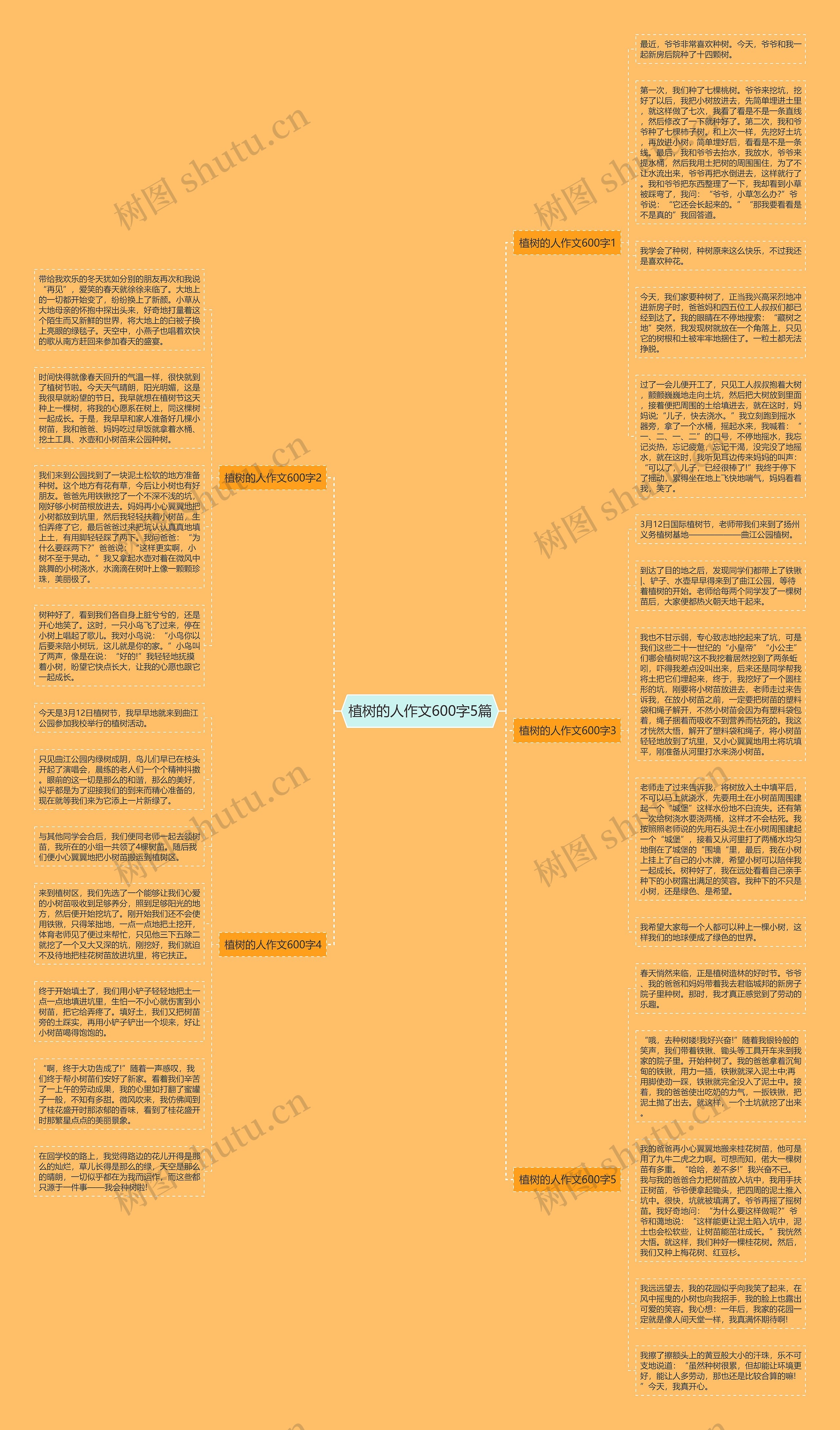植树的人作文600字5篇思维导图