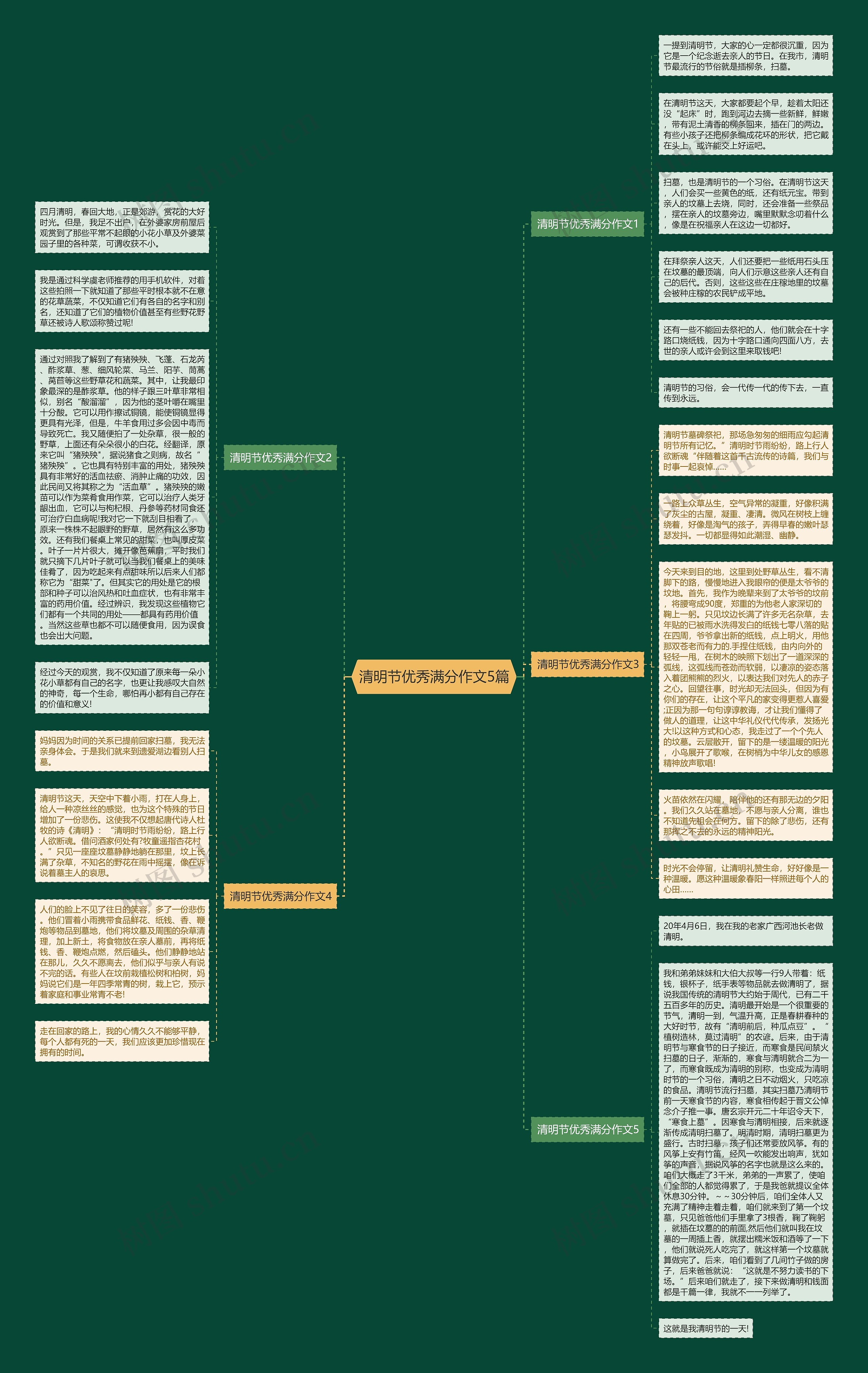 清明节优秀满分作文5篇思维导图