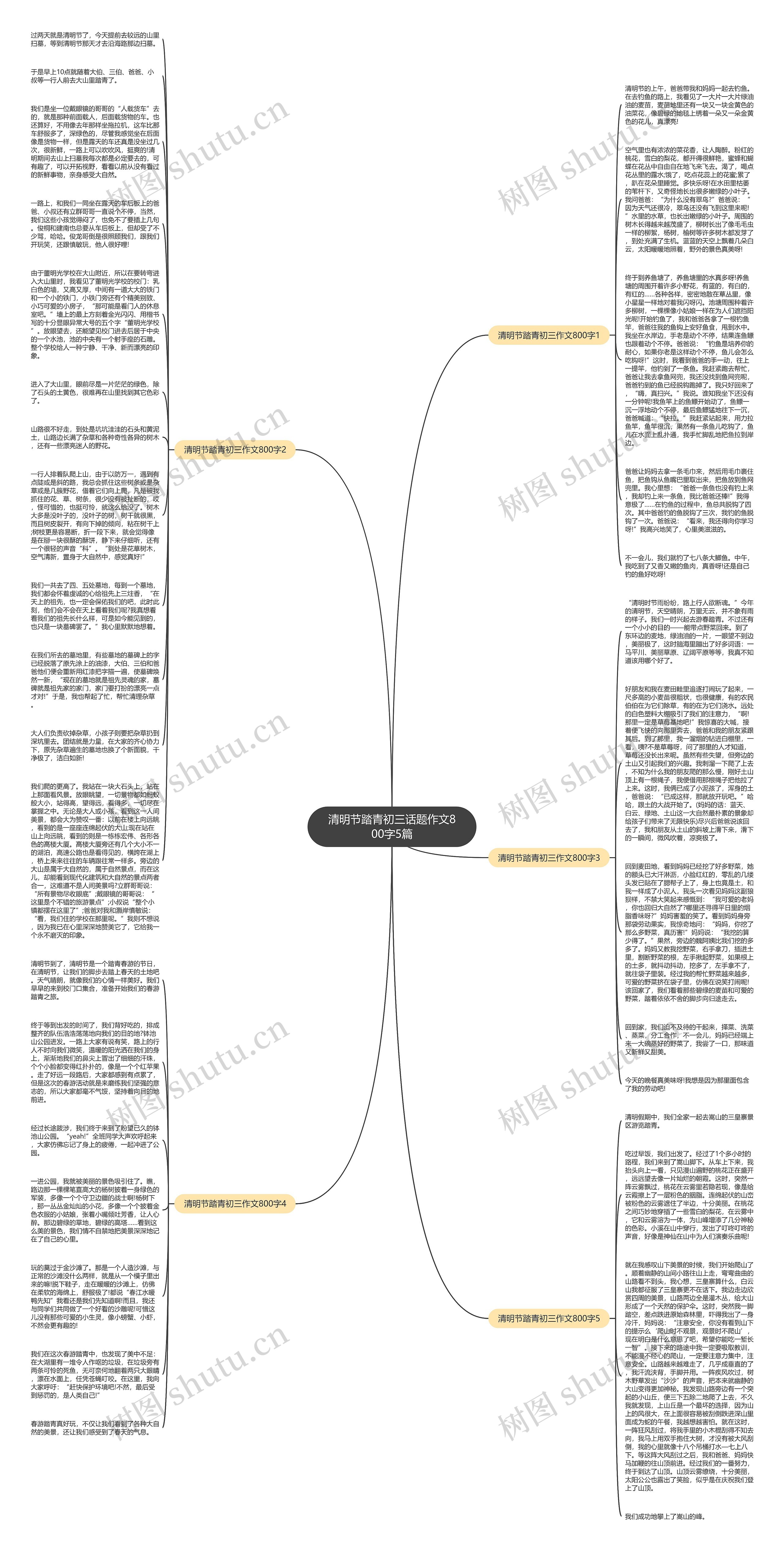 清明节踏青初三话题作文800字5篇思维导图