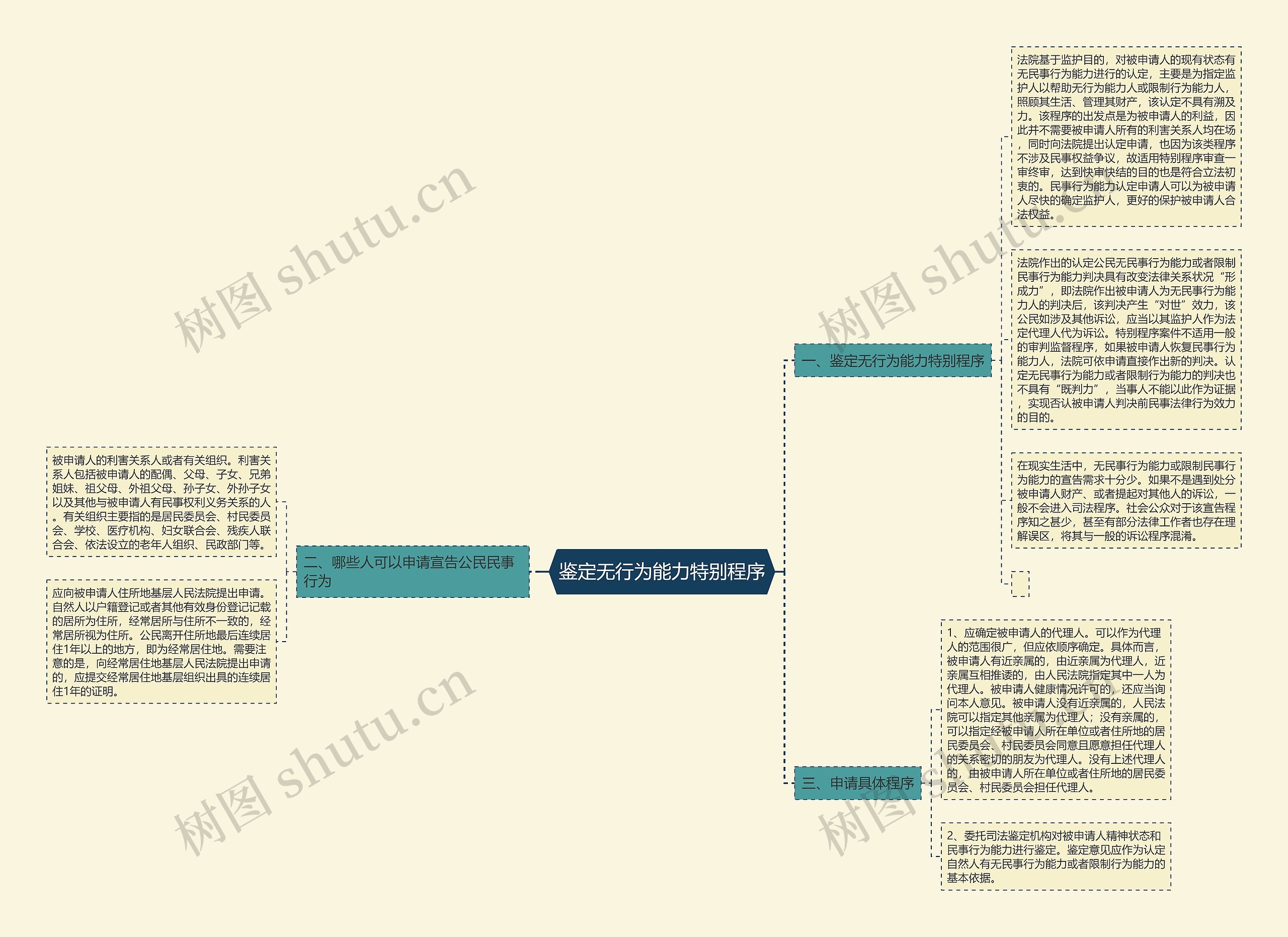 鉴定无行为能力特别程序思维导图