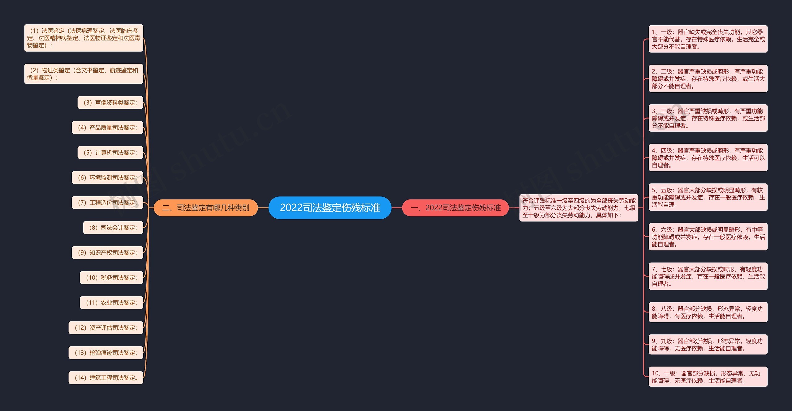 2022司法鉴定伤残标准思维导图