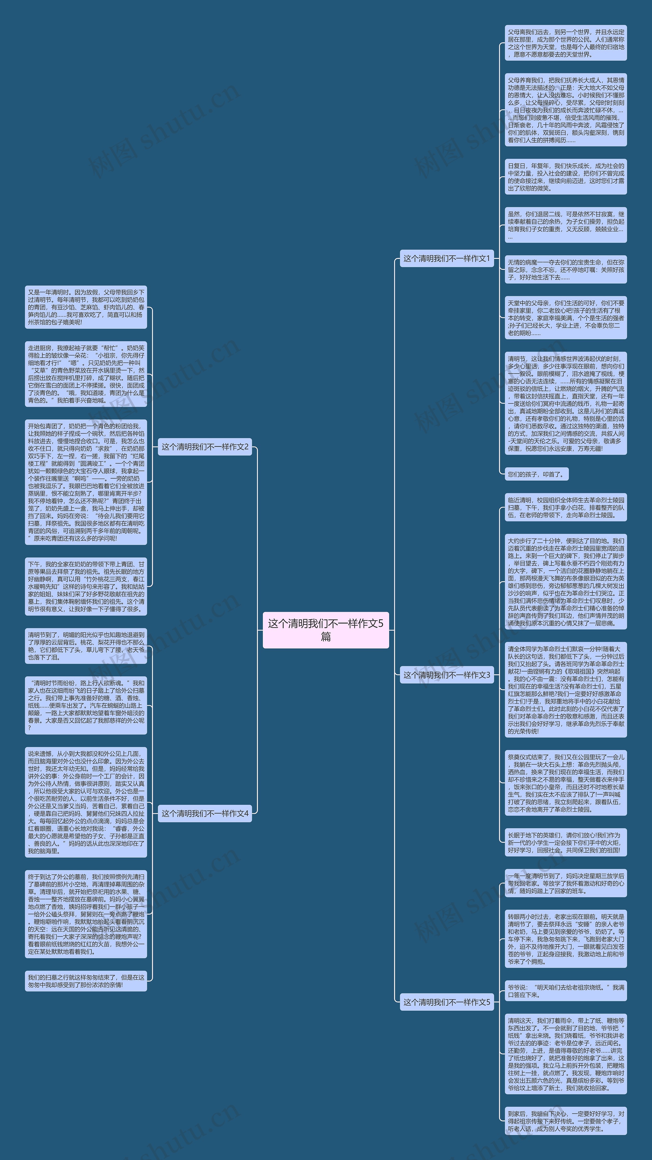 这个清明我们不一样作文5篇思维导图