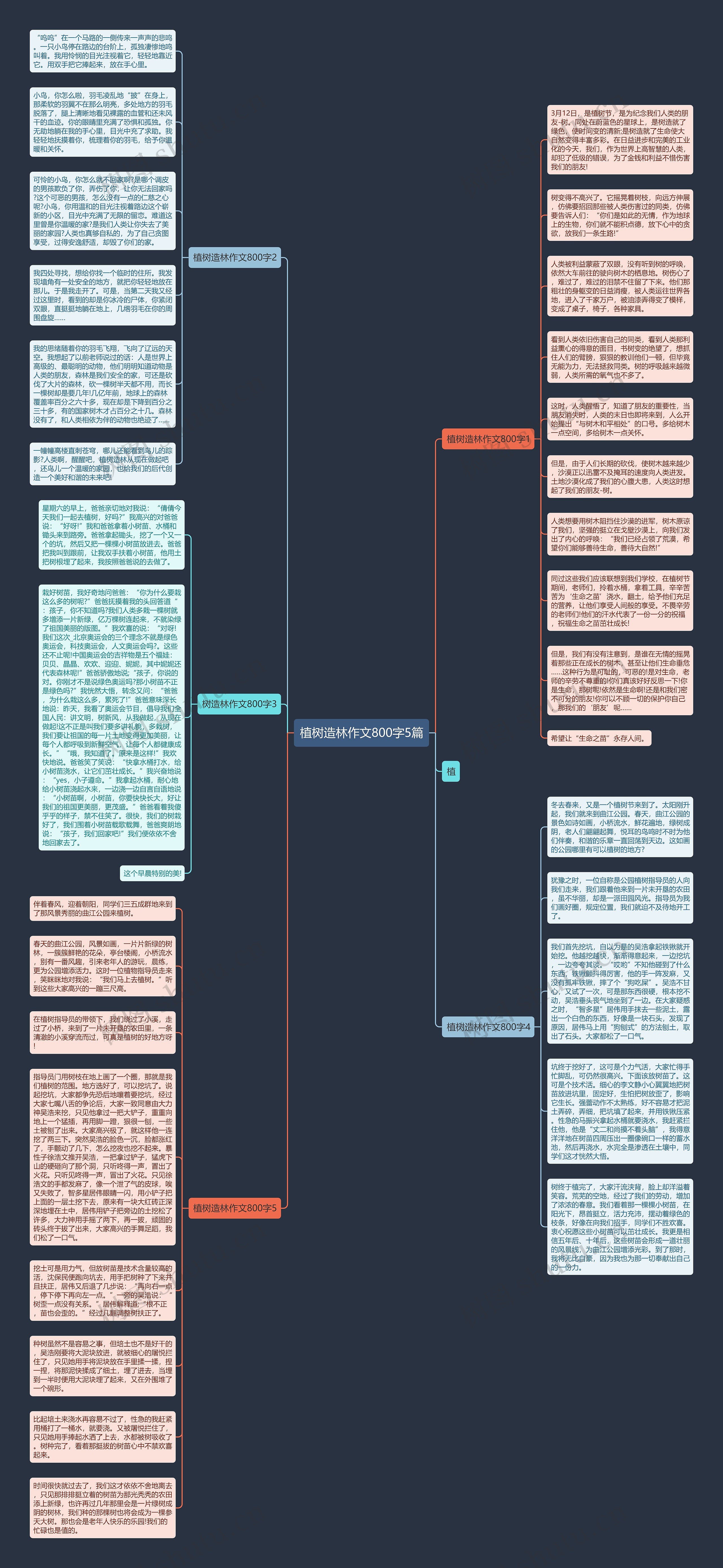植树造林作文800字5篇思维导图