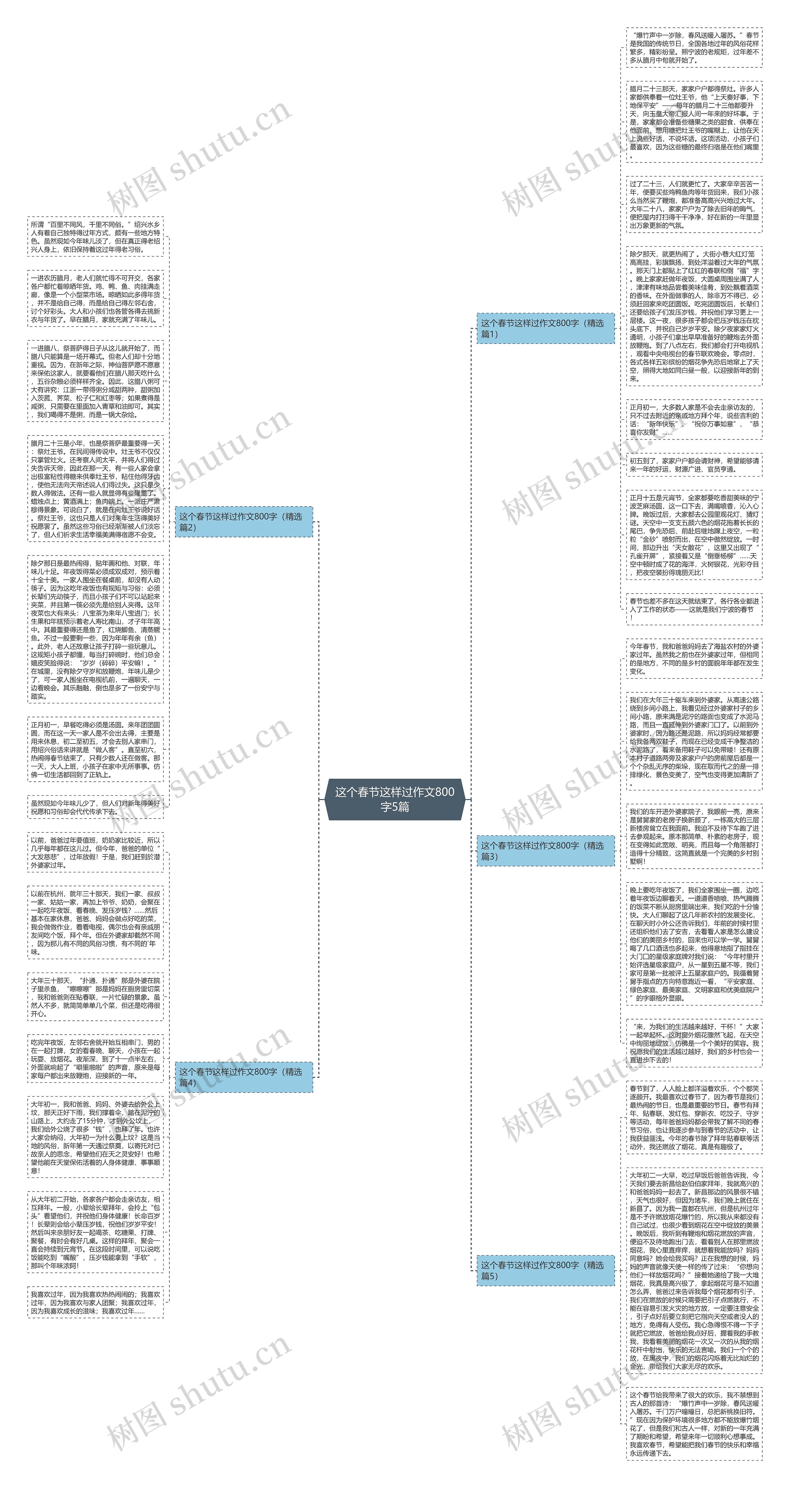 这个春节这样过作文800字5篇思维导图