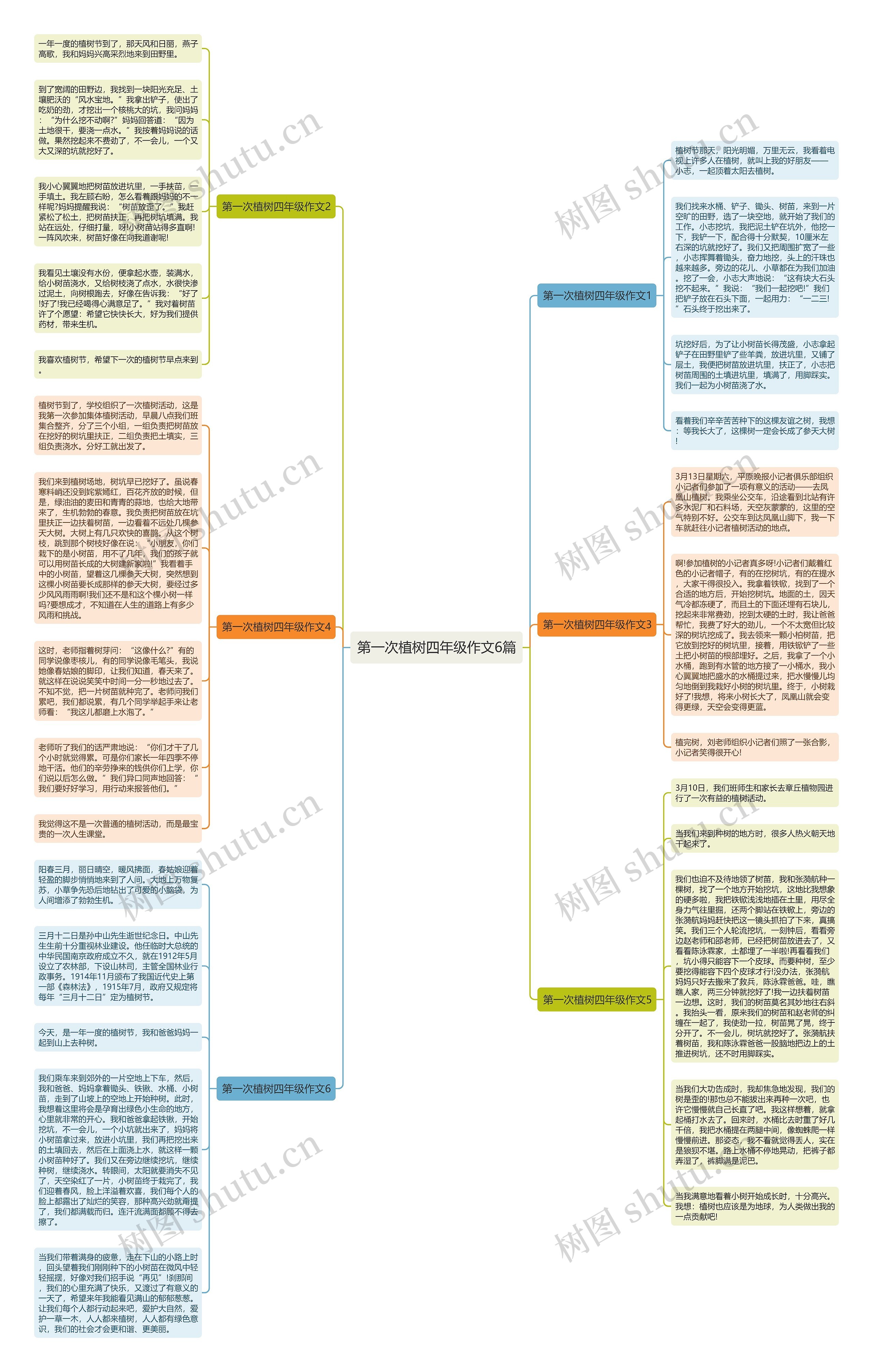 第一次植树四年级作文6篇思维导图
