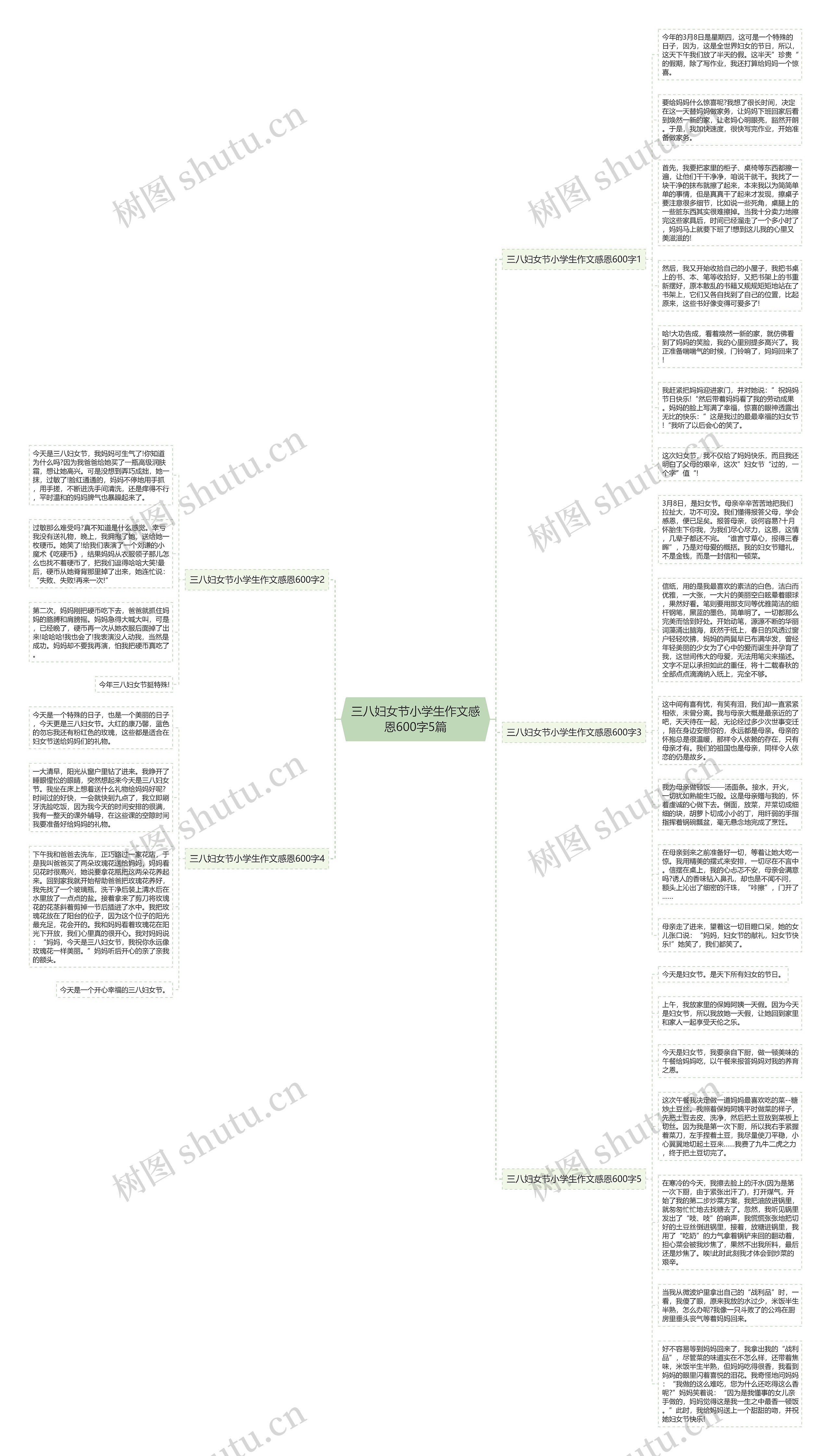 三八妇女节小学生作文感恩600字5篇思维导图