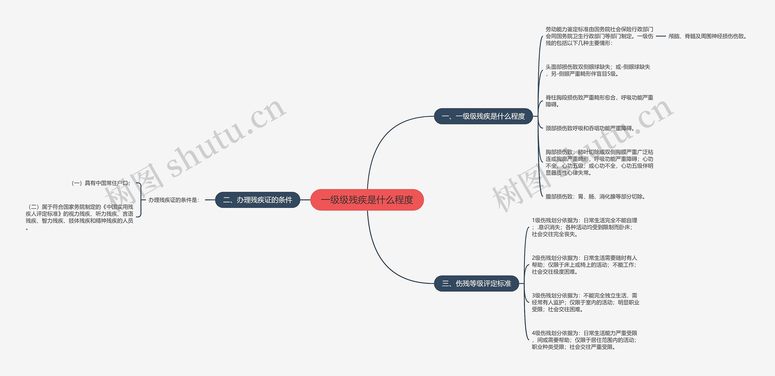 一级级残疾是什么程度思维导图