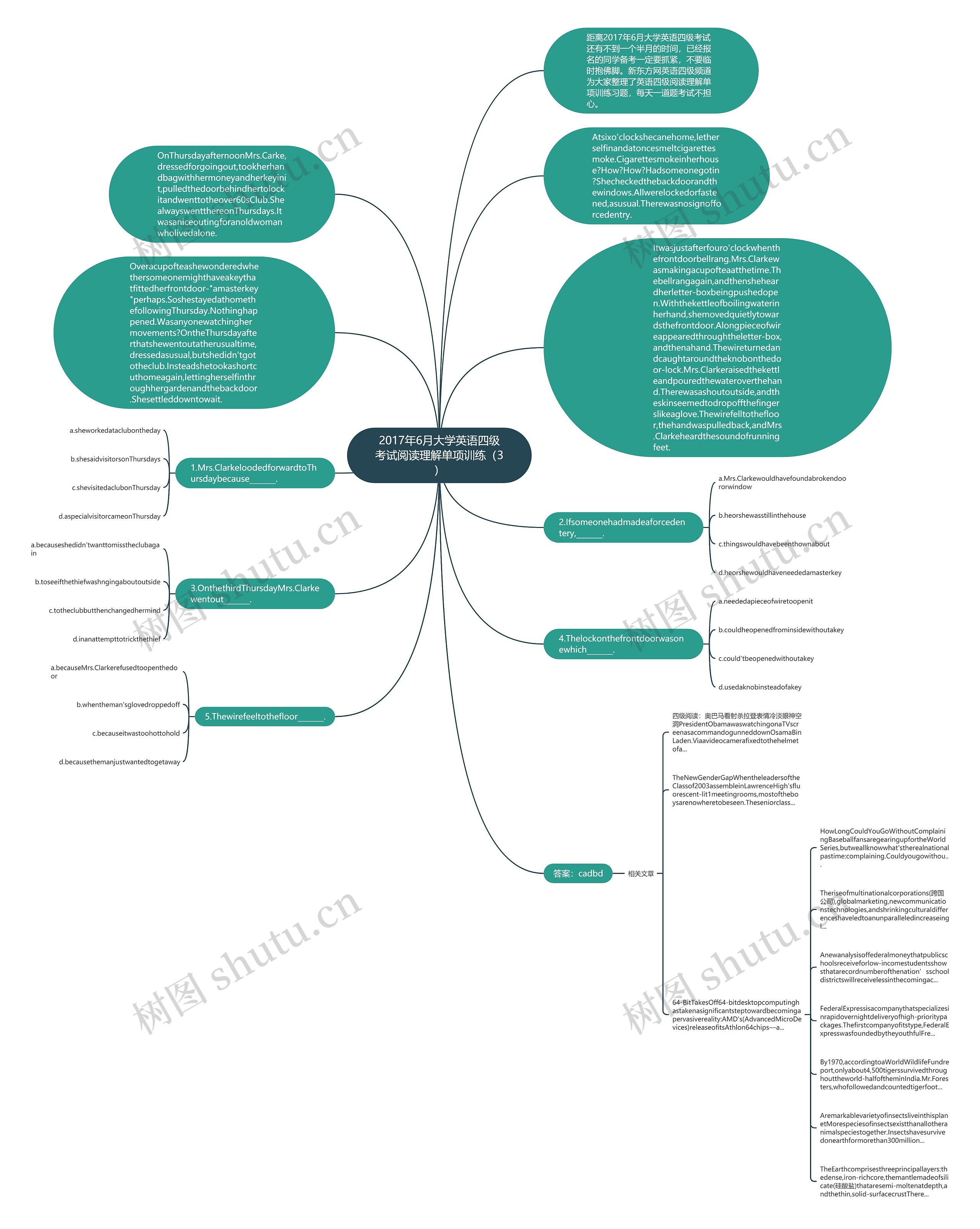 2017年6月大学英语四级考试阅读理解单项训练（3）思维导图