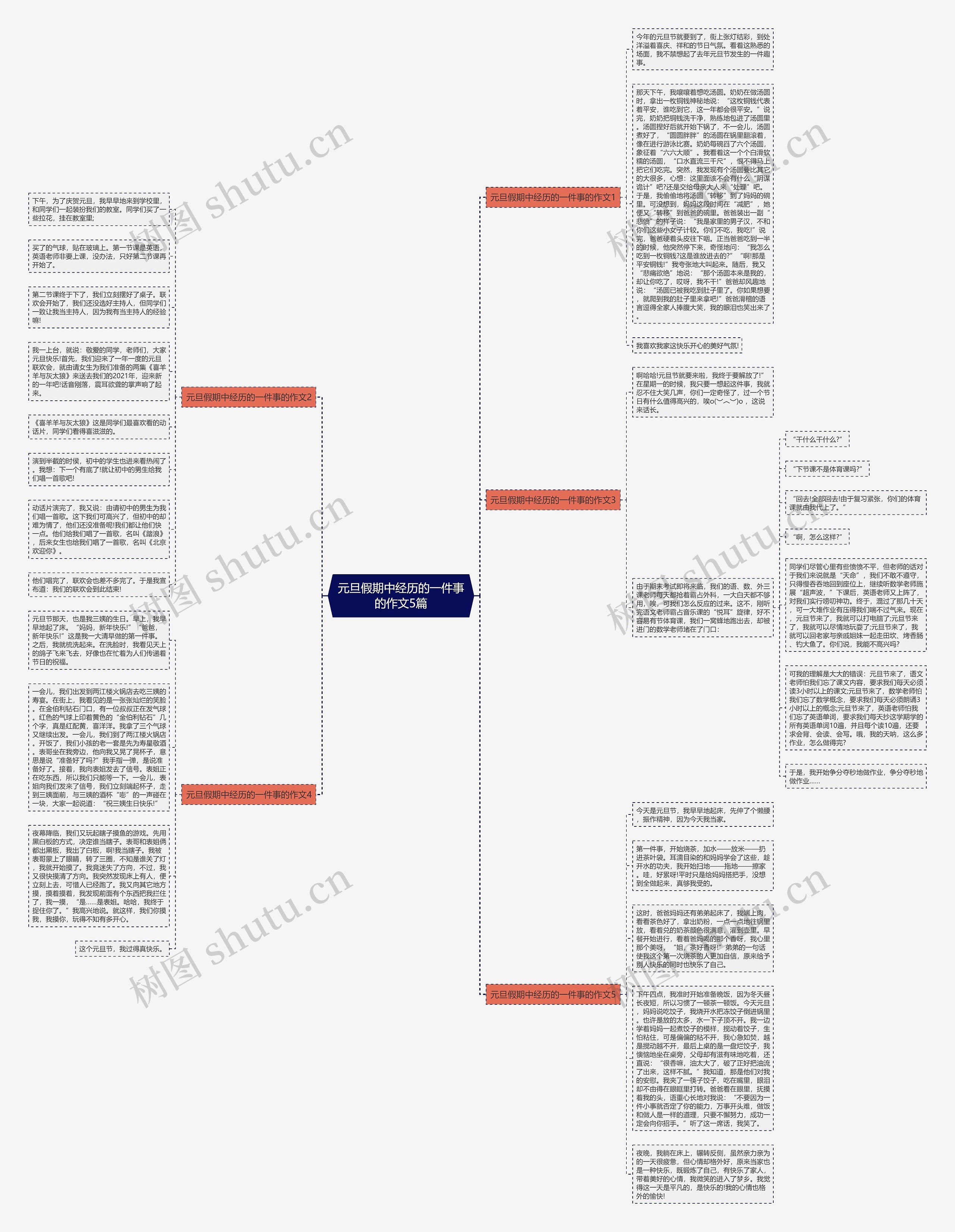 元旦假期中经历的一件事的作文5篇思维导图
