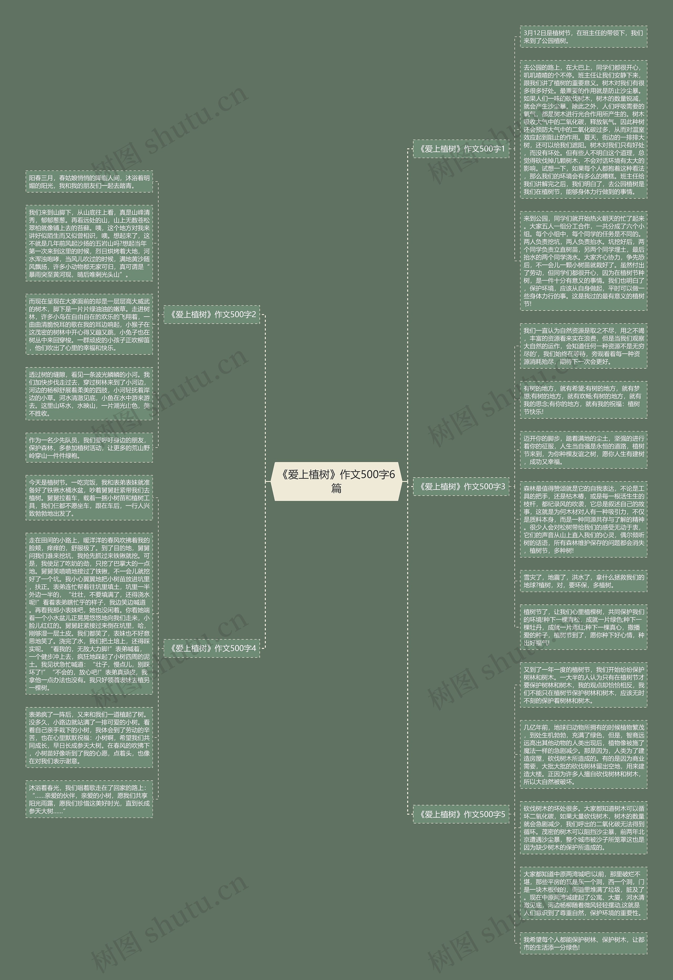 《爱上植树》作文500字6篇思维导图