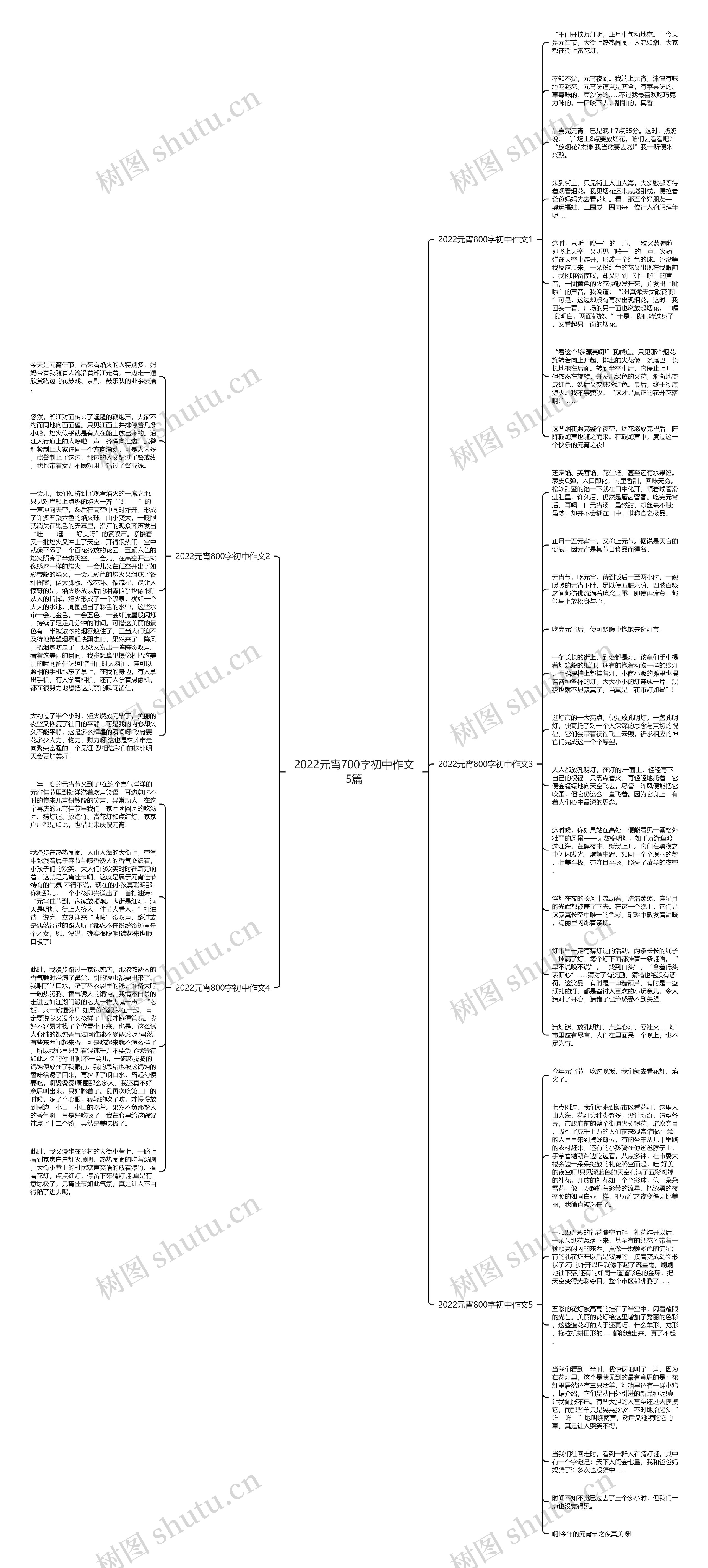 2022元宵700字初中作文5篇思维导图