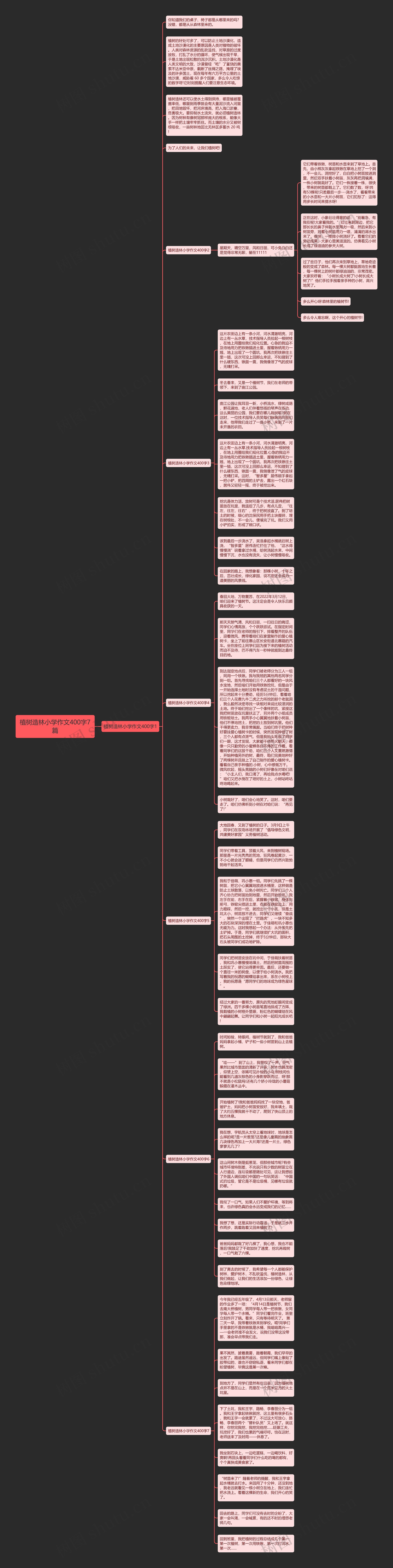 植树造林小学作文400字7篇思维导图