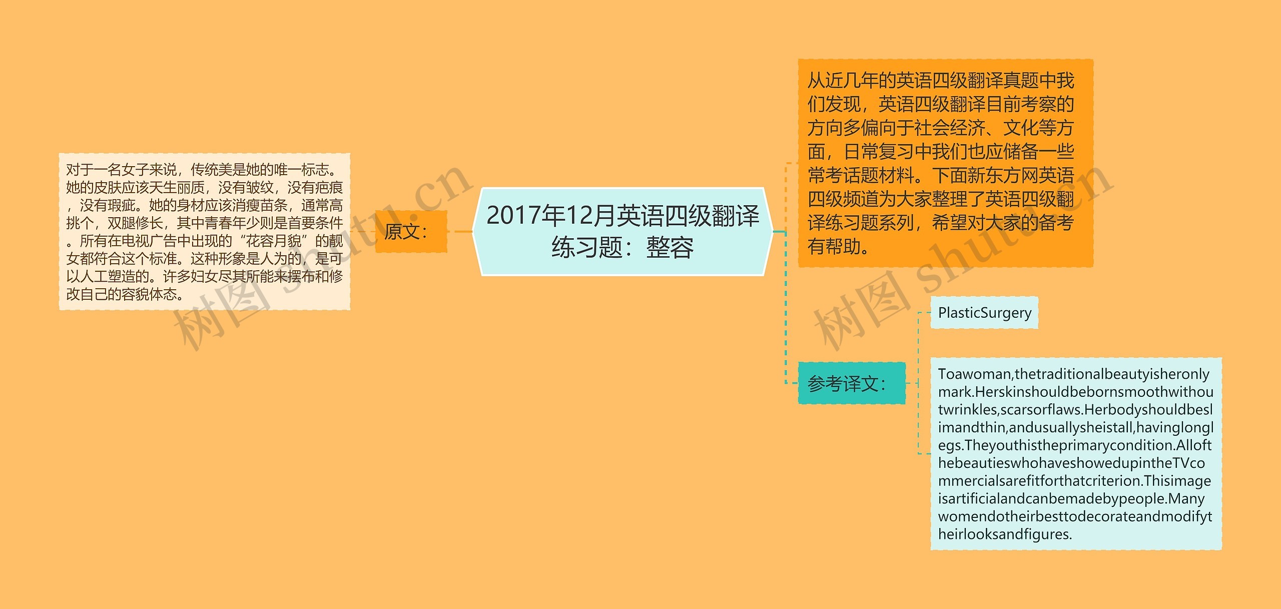 2017年12月英语四级翻译练习题：整容思维导图