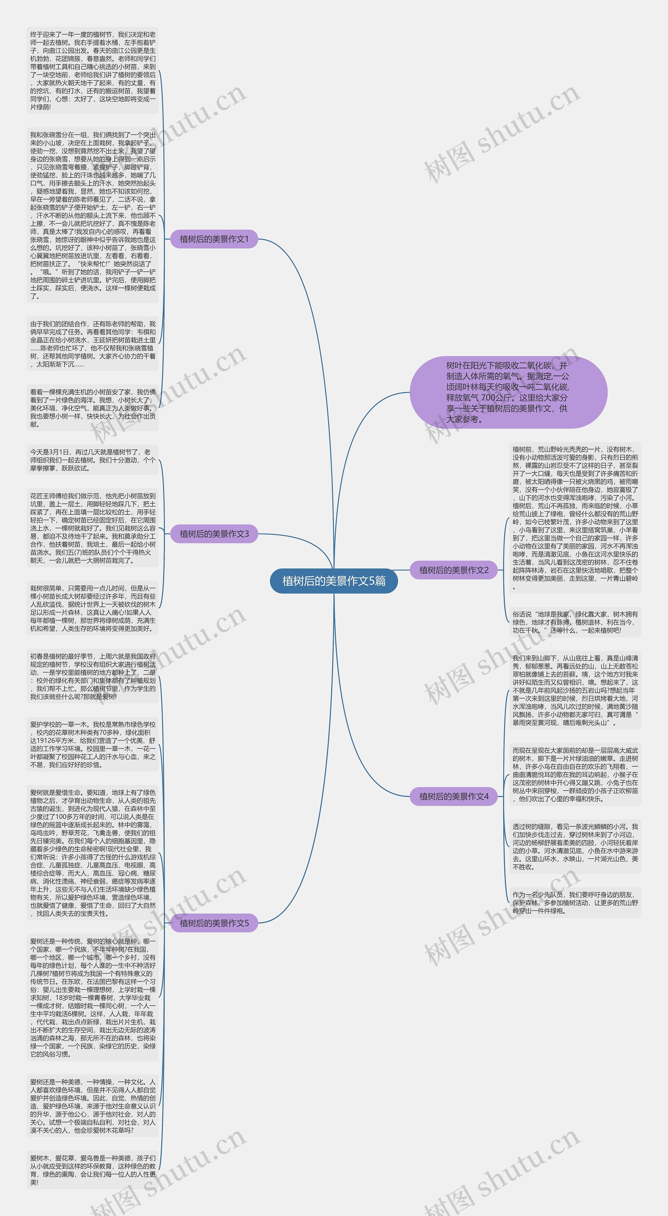 植树后的美景作文5篇思维导图
