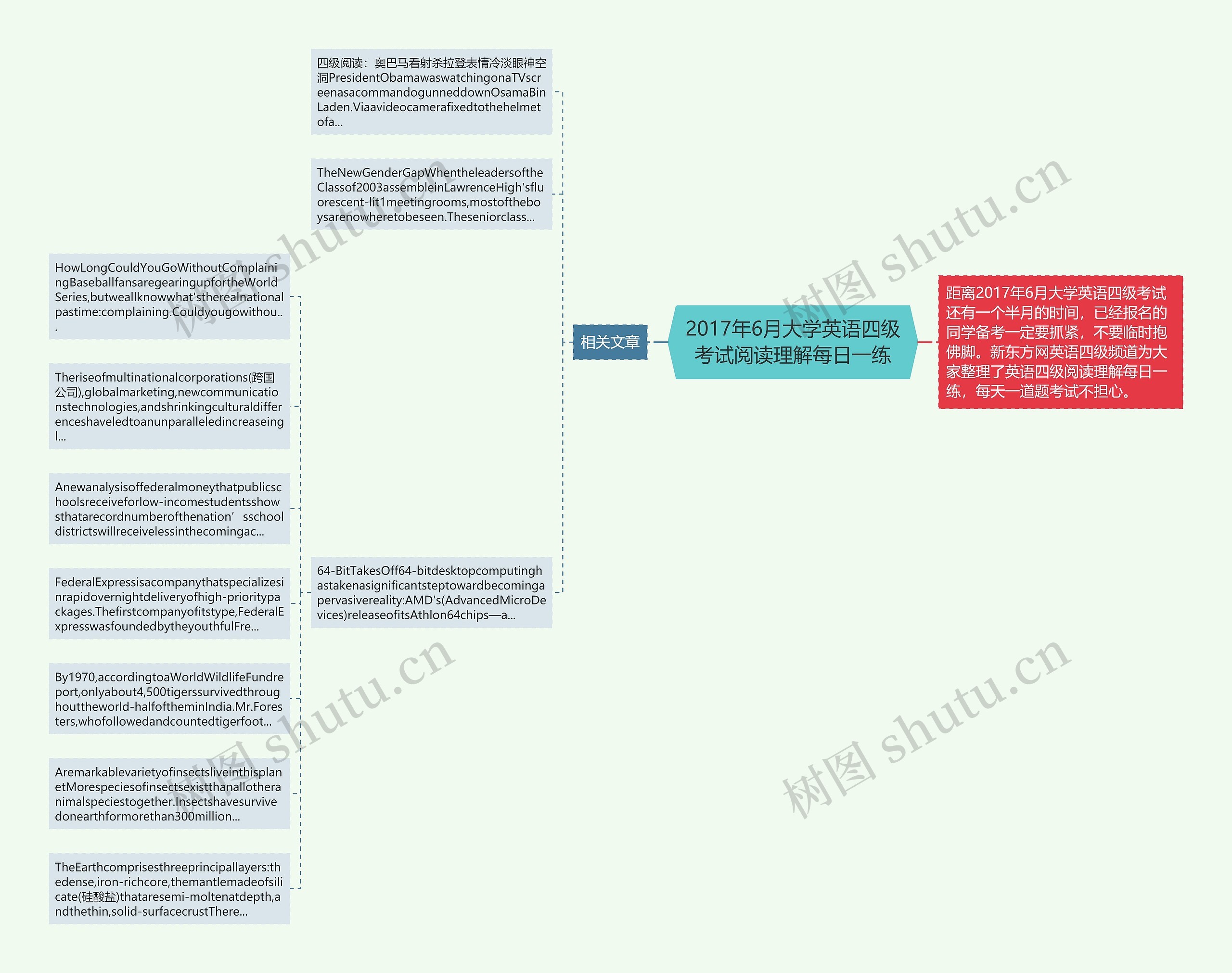 2017年6月大学英语四级考试阅读理解每日一练思维导图