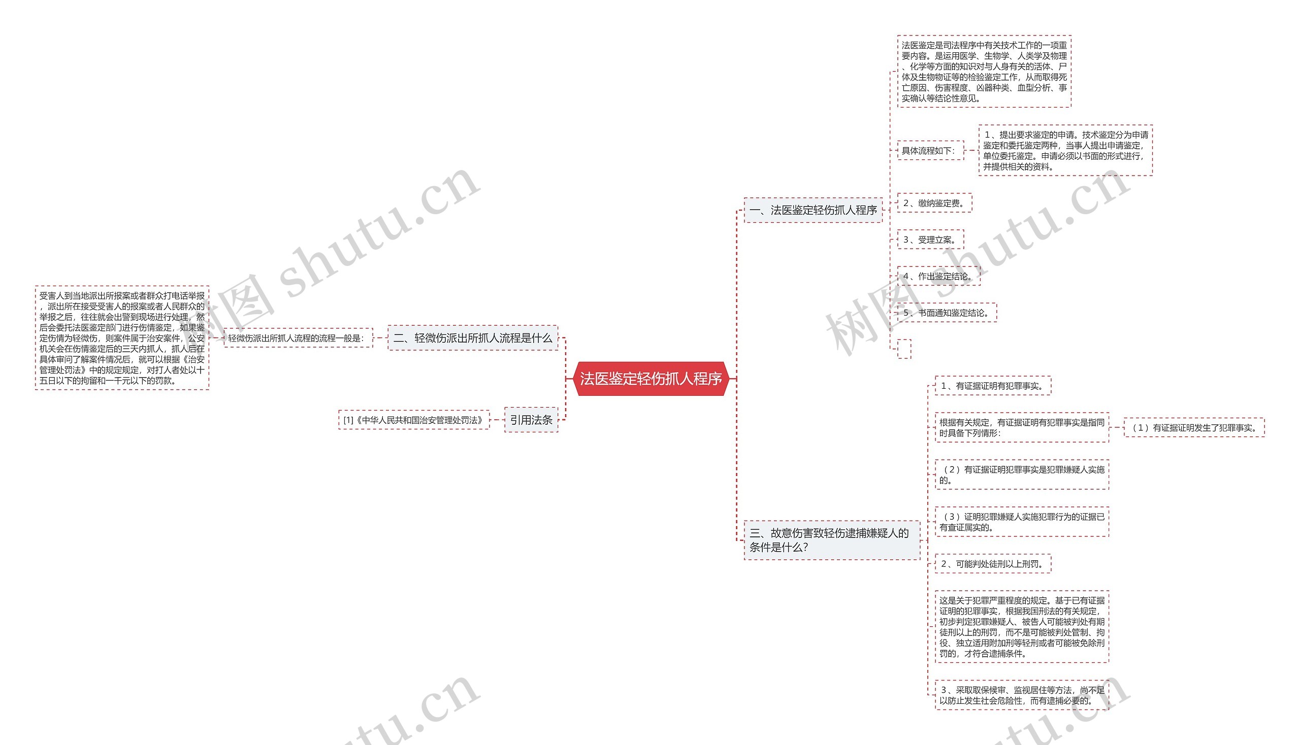 法医鉴定轻伤抓人程序 法医鉴定轻伤抓人程序