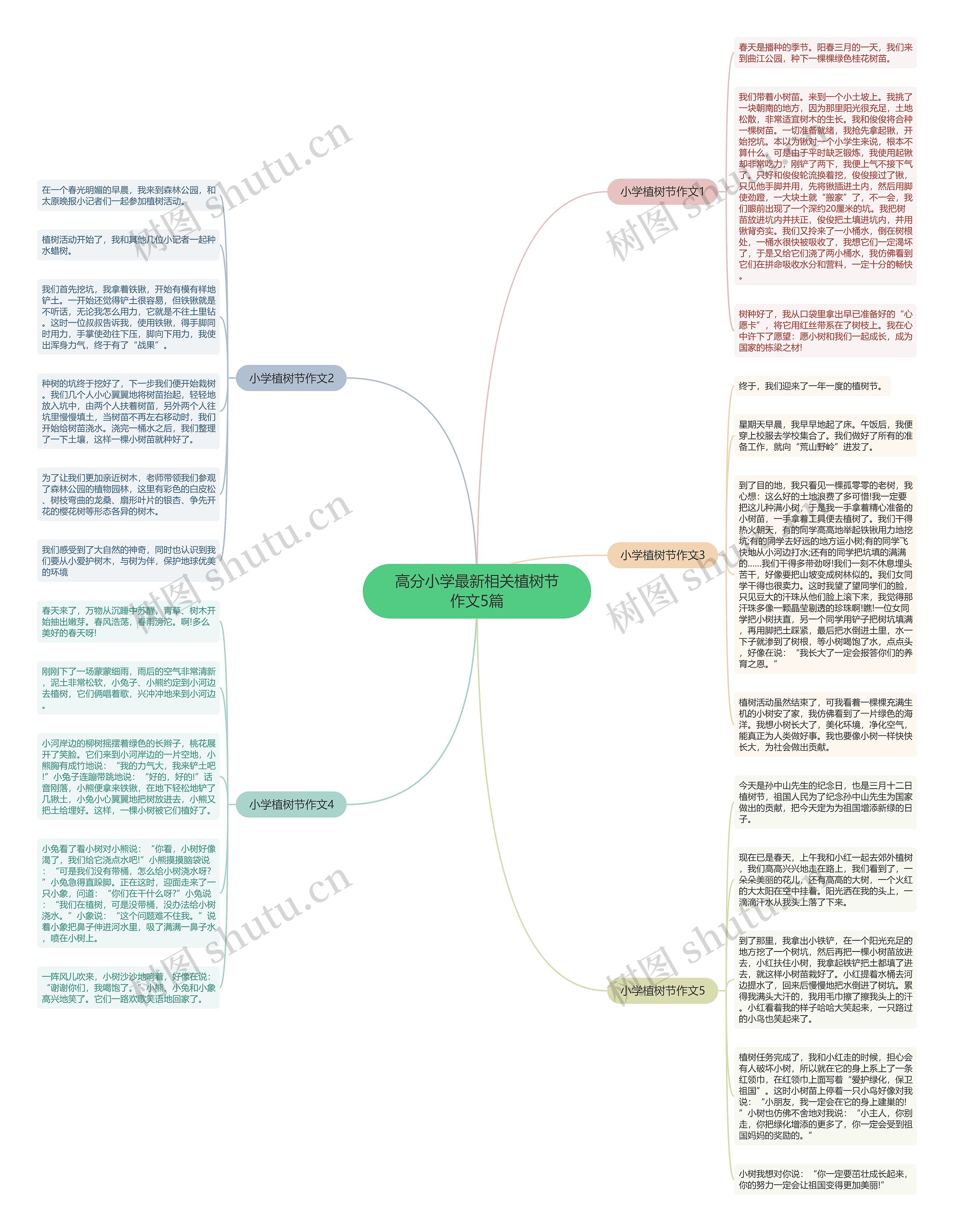 高分小学最新相关植树节作文5篇思维导图