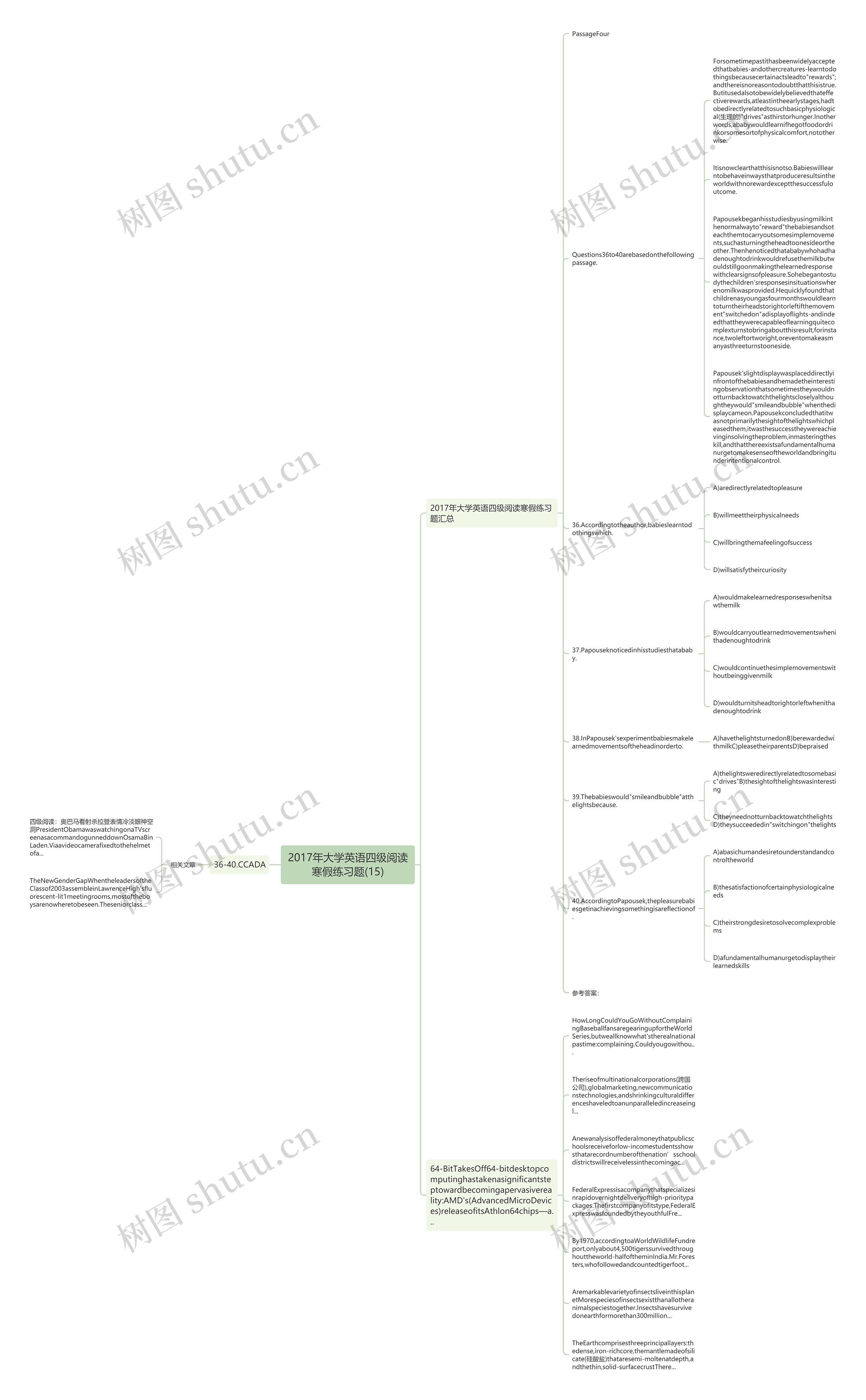 2017年大学英语四级阅读寒假练习题(15)思维导图