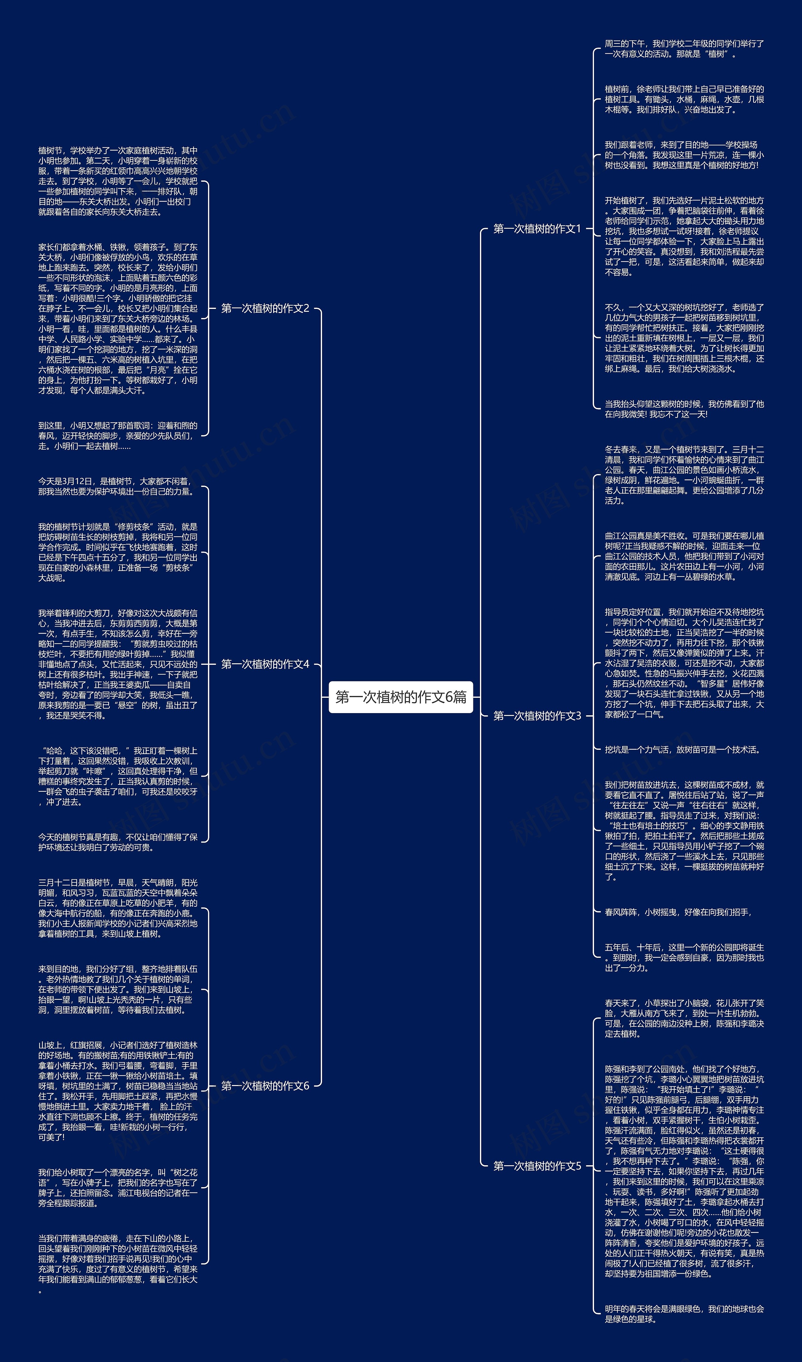 第一次植树的作文6篇思维导图